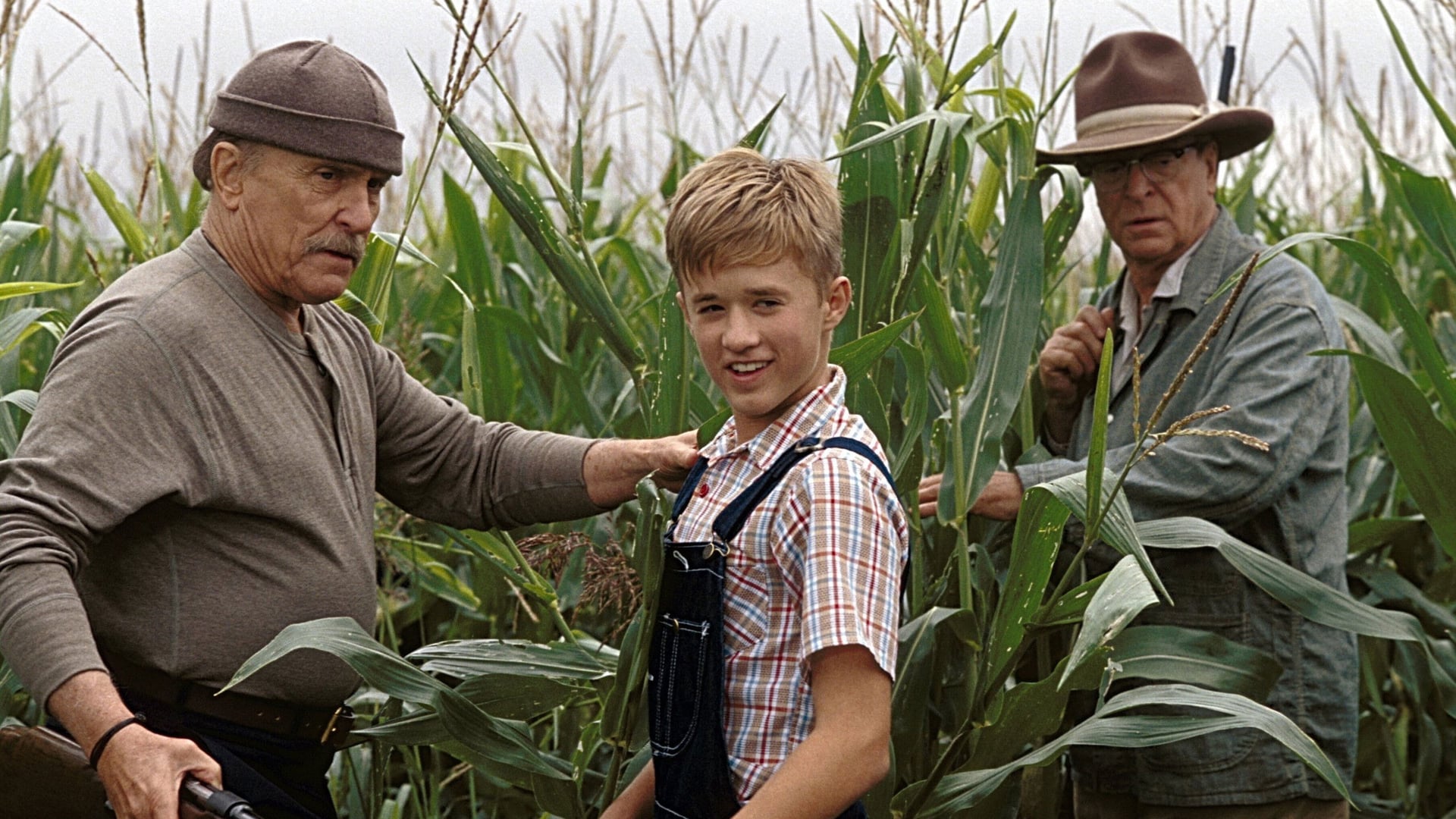 Foto do filme Lições Para Toda Vida
