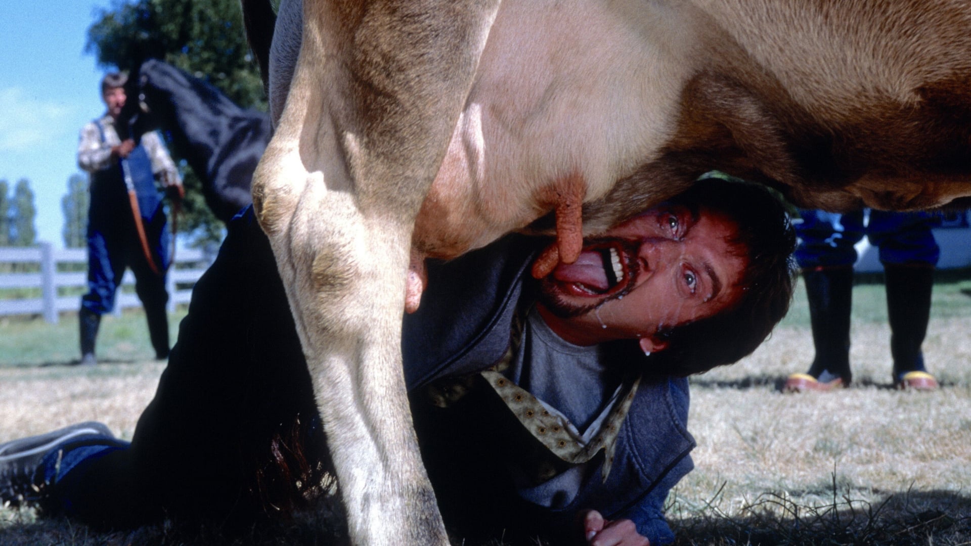 Foto do filme Fora de Casa!