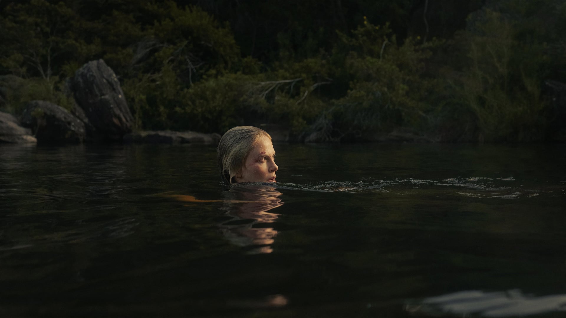 Foto do filme O Jogo do Predador