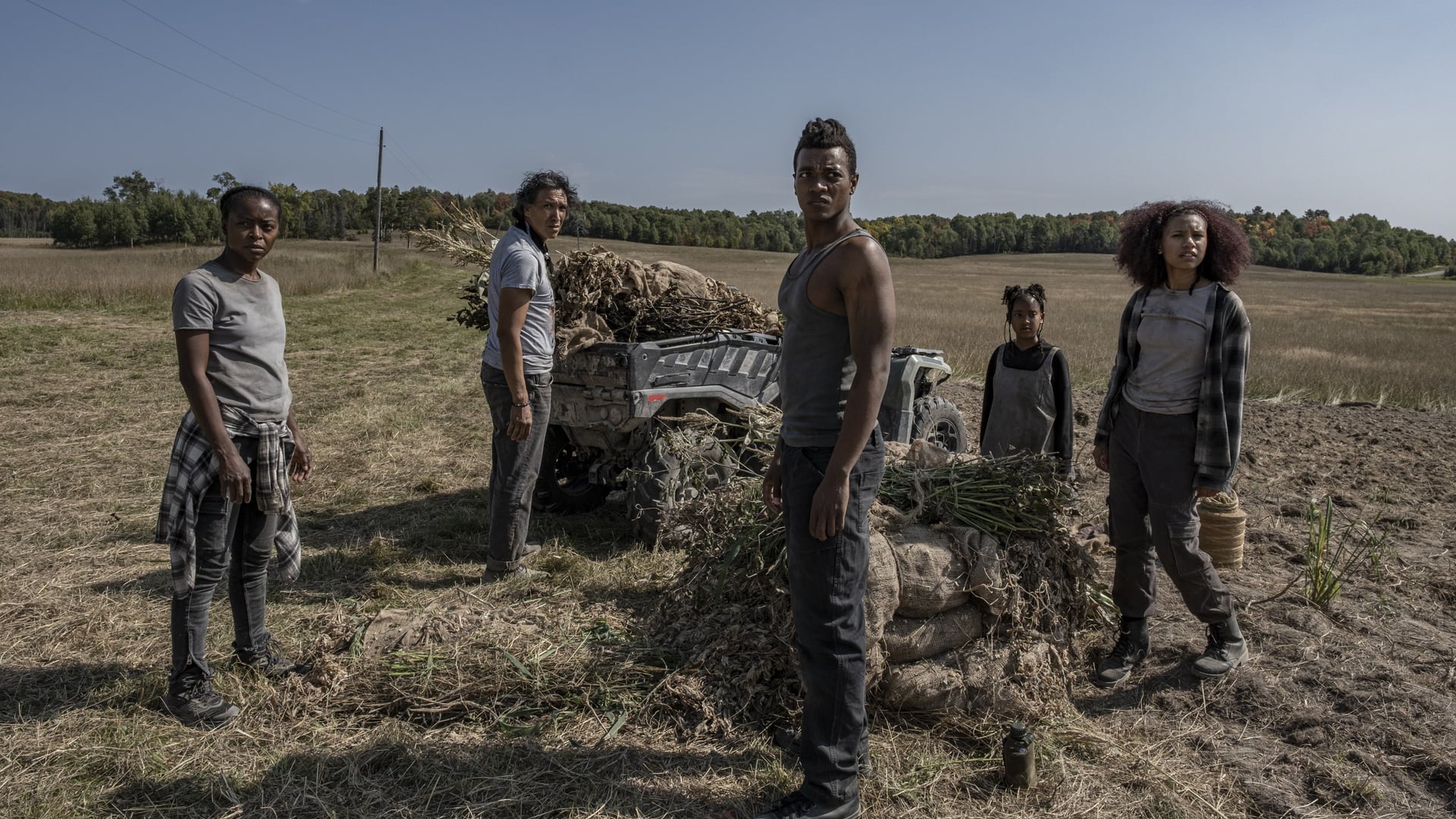 Foto do filme 40 Acres