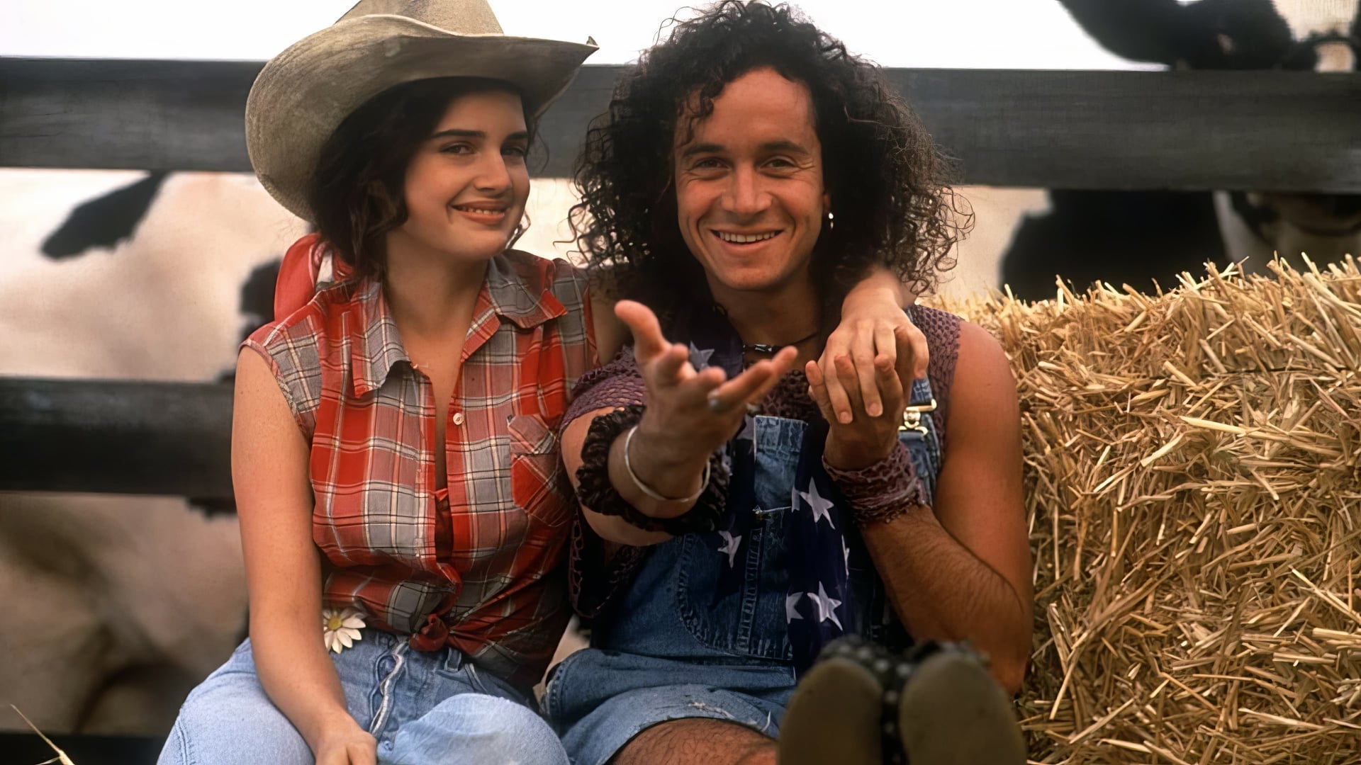 Foto do filme O Genro dos Meus Sonhos