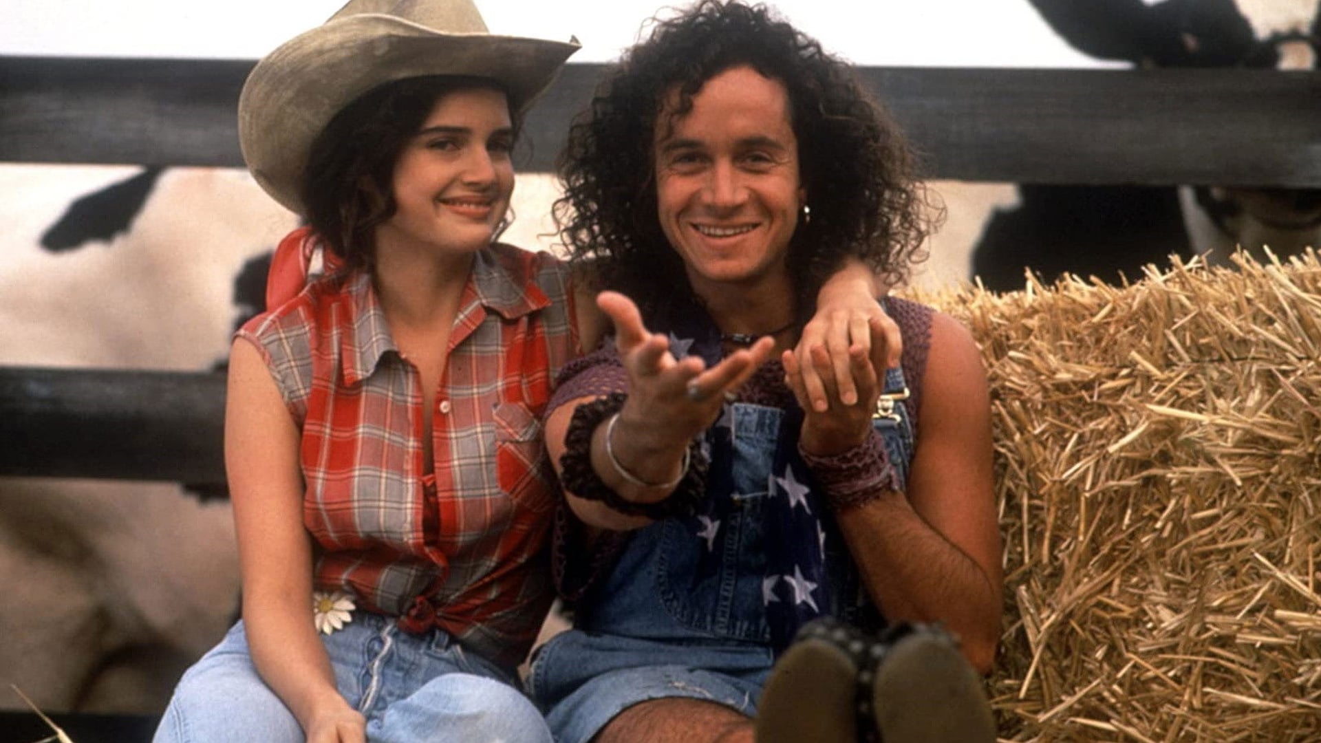 Foto do filme O Genro dos Meus Sonhos