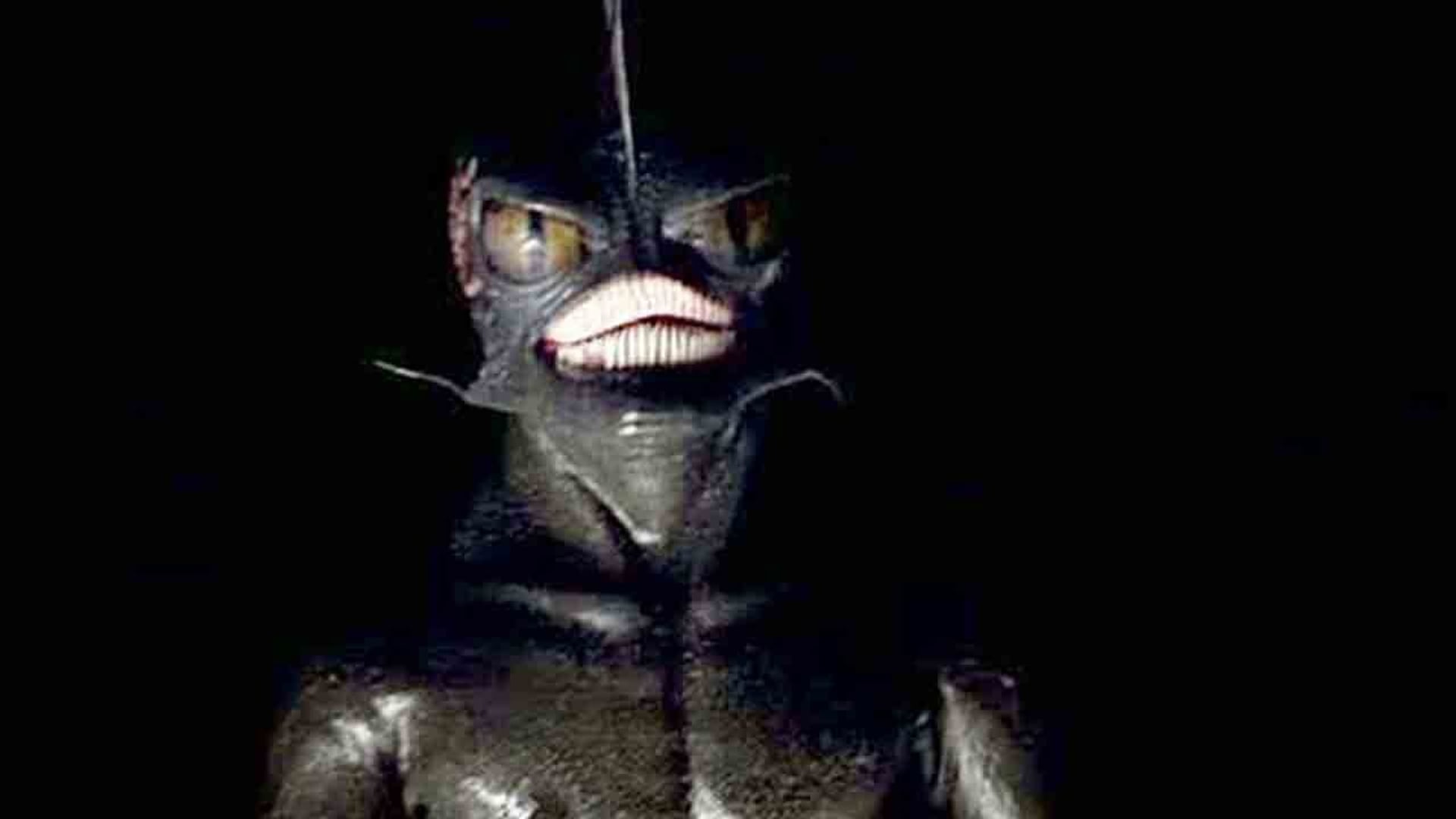 Foto do filme Hypothermia