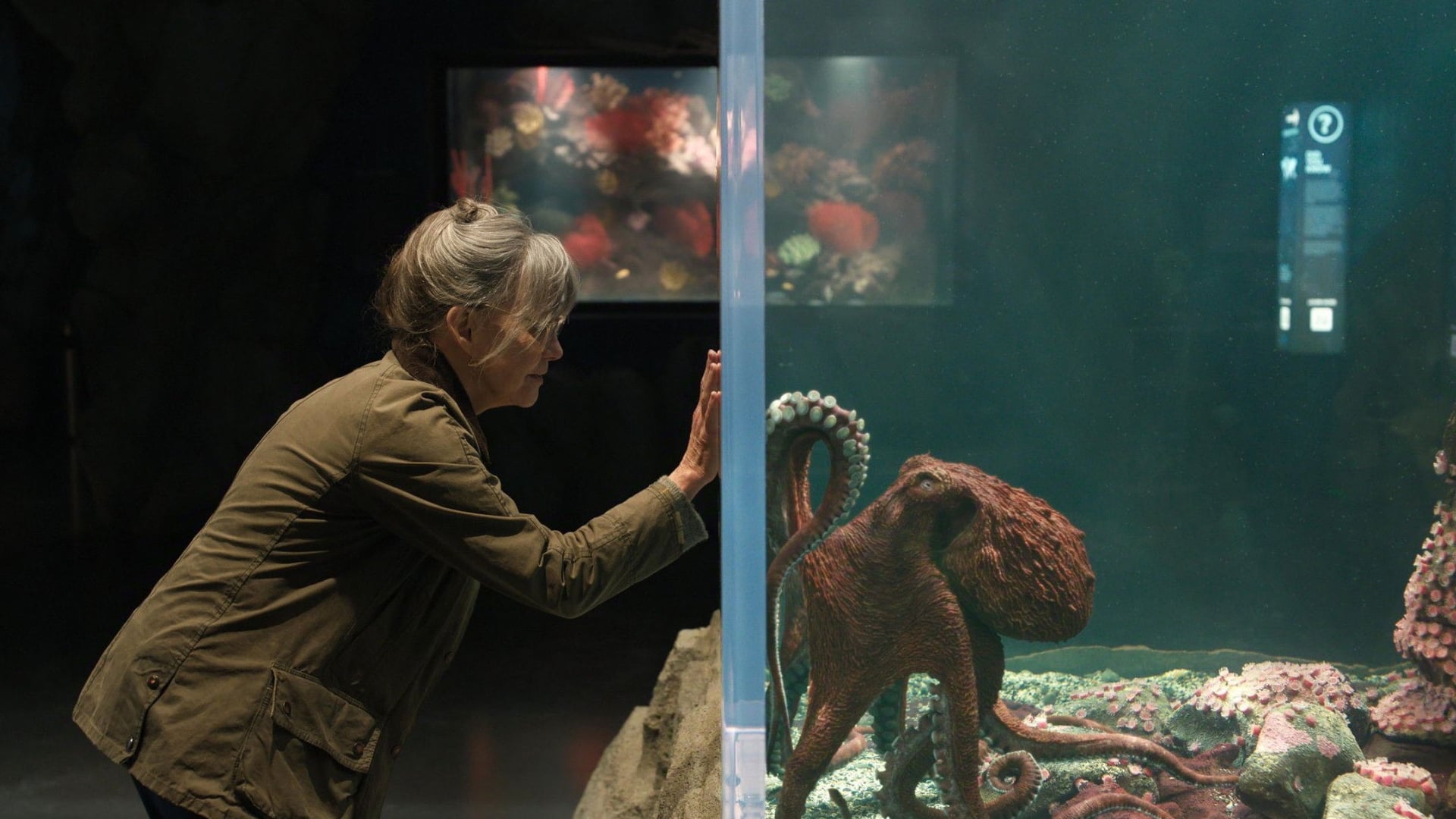 Foto do filme Remarkably Bright Creatures