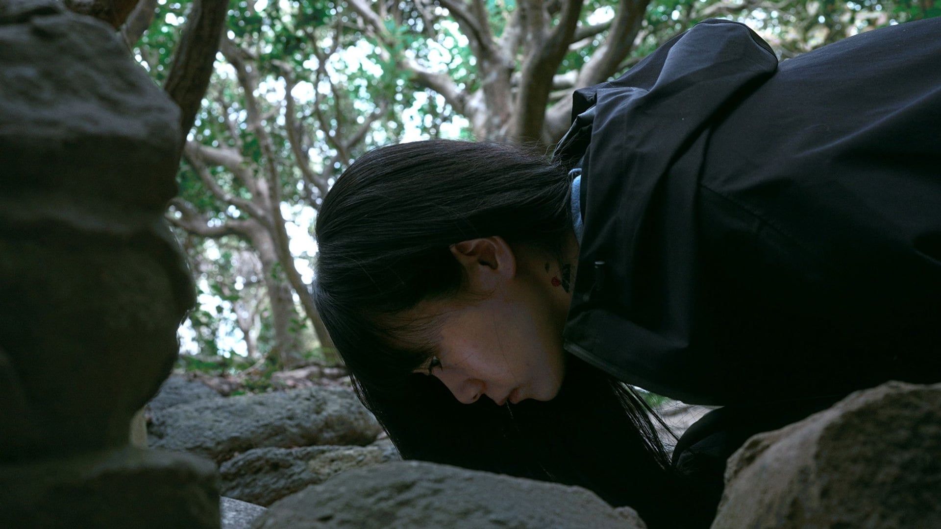 Foto do filme The Height of the Coconut Trees