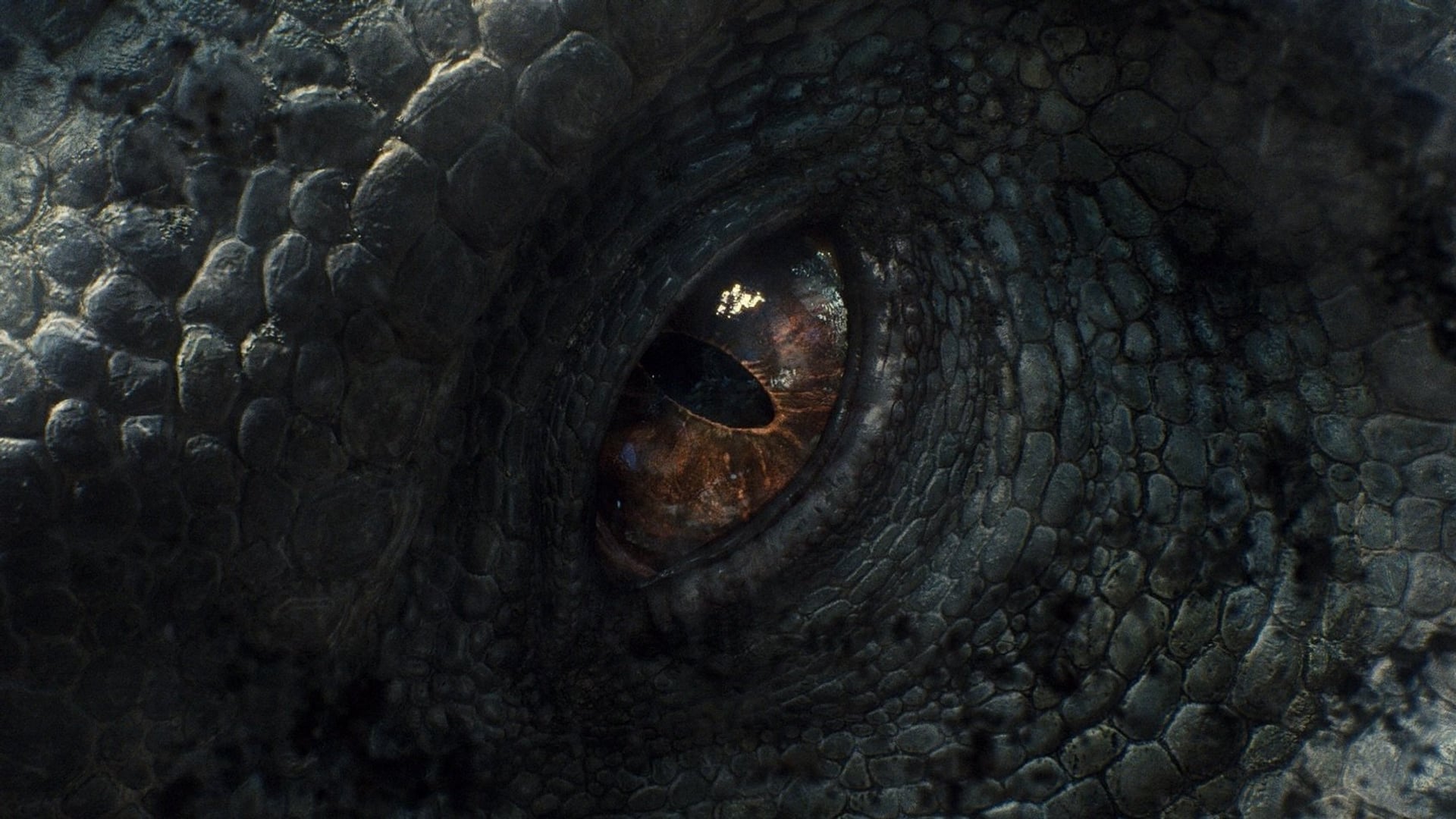 Foto do filme Jurassic World: O Mundo dos Dinossauros