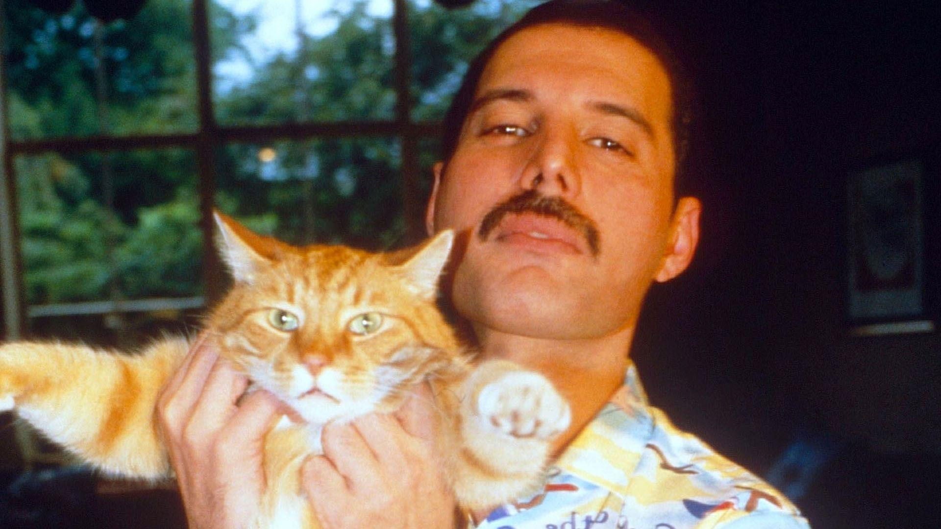 Foto do filme Freddie Mercury: The Great Pretender