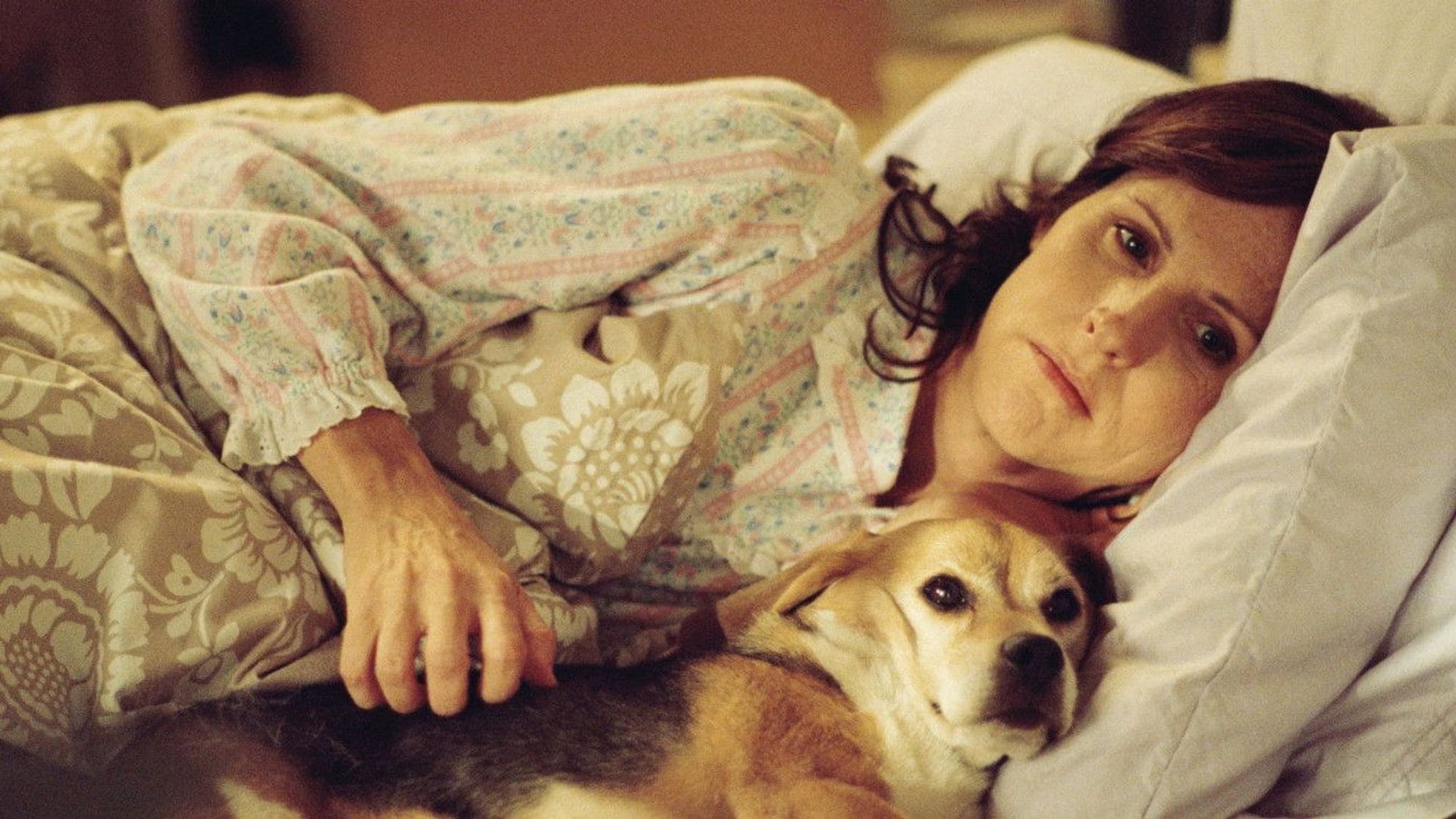 Foto do filme Amor pra Cachorro