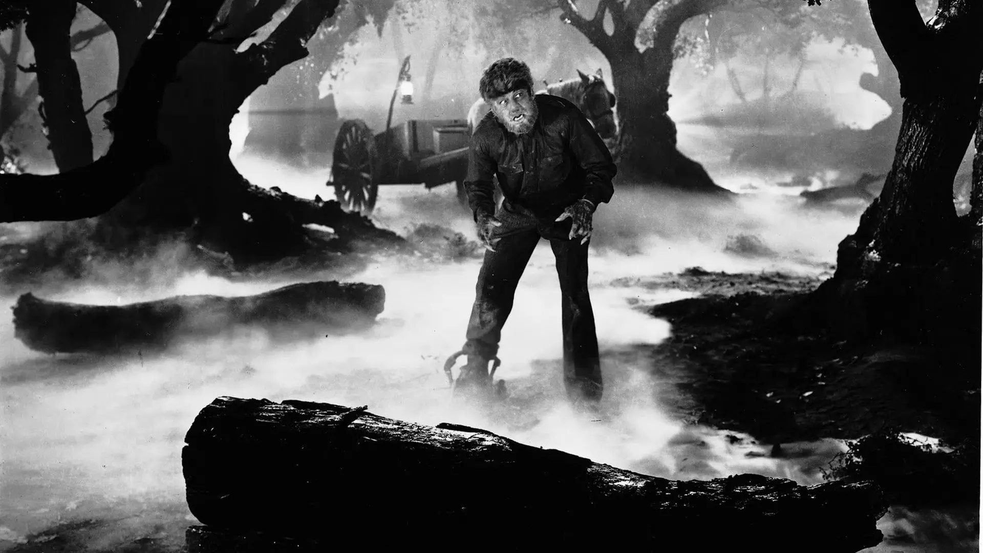 Foto do filme O Lobisomem