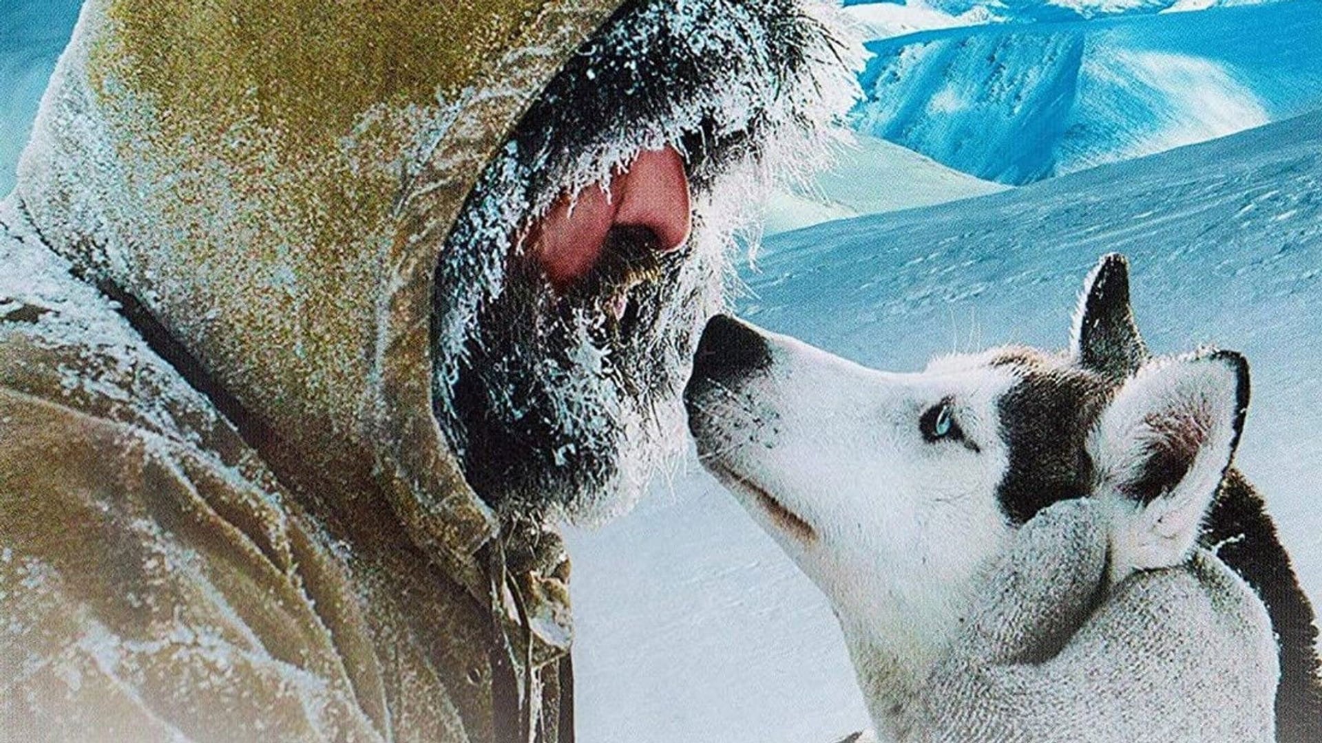 Foto do filme Le Dernier Trappeur