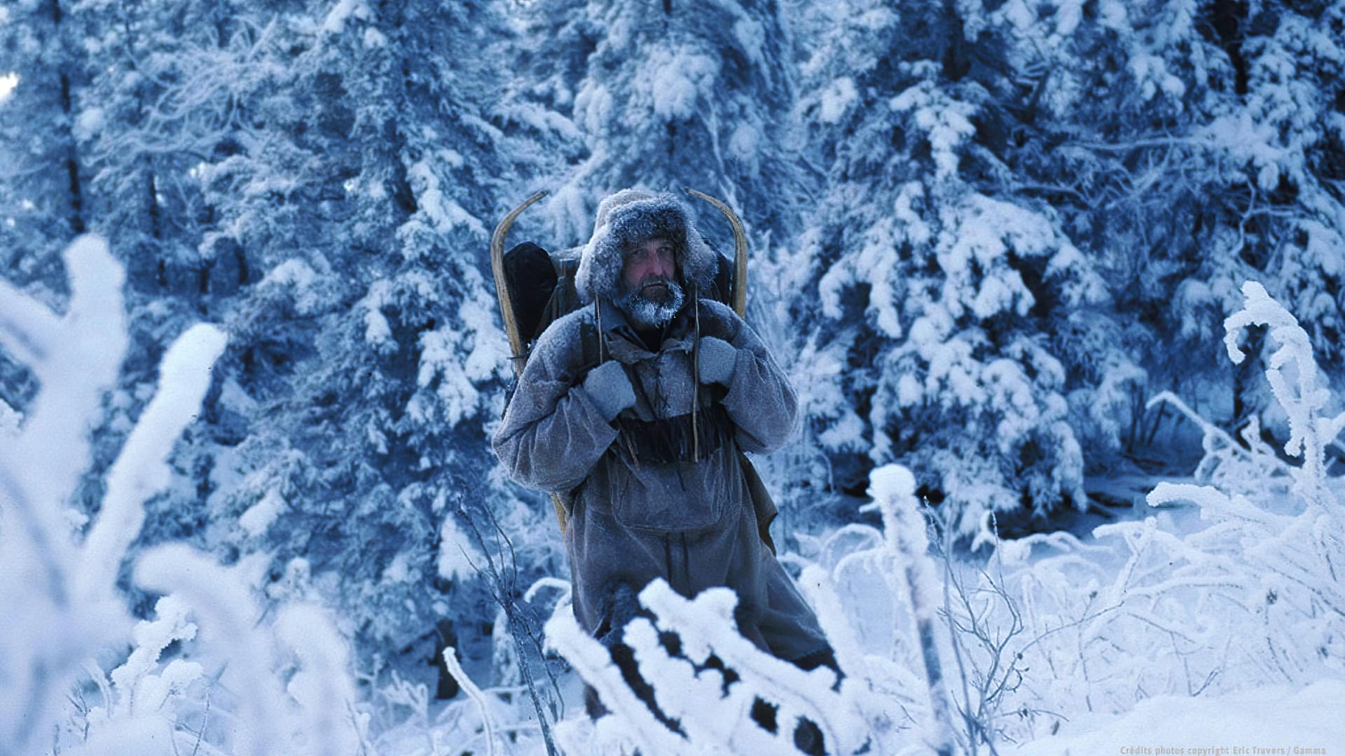 Foto do filme Le Dernier Trappeur