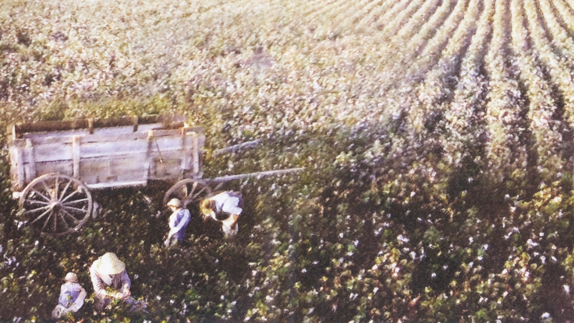 Foto do filme Um Lugar no Coração