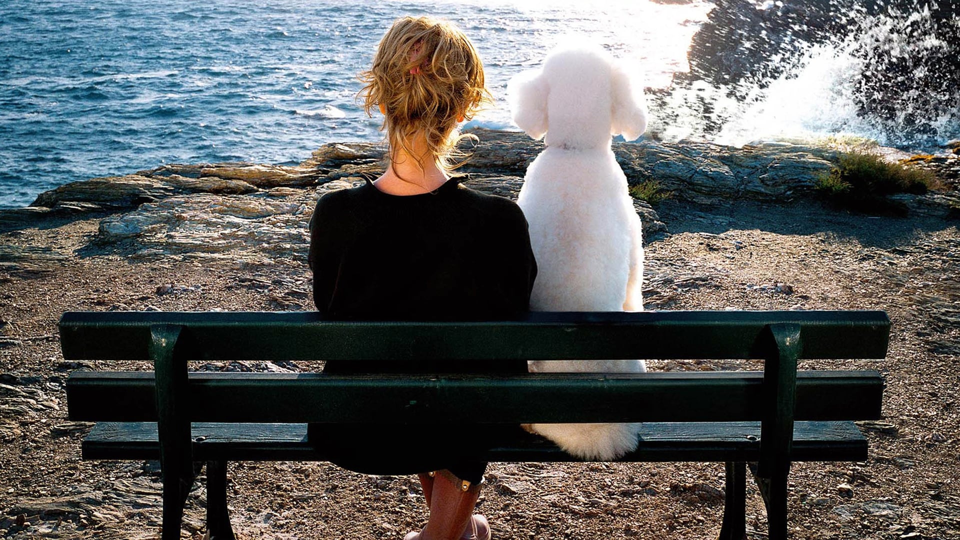 Foto do filme Enfin veuve