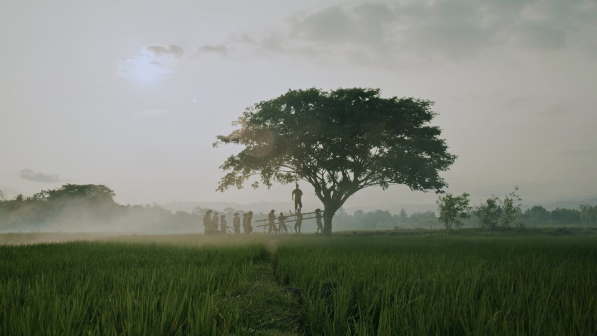 Foto do filme Bolong, 309 Hari Sebelum Tragedi Berdarah