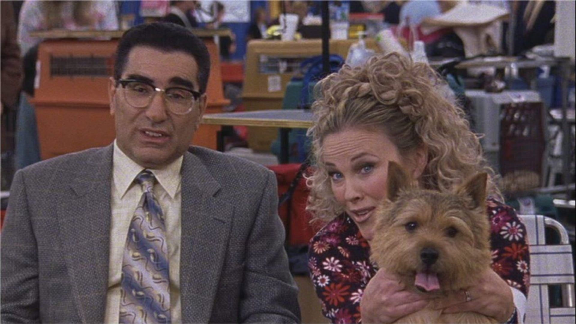 Foto do filme O Melhor do Show