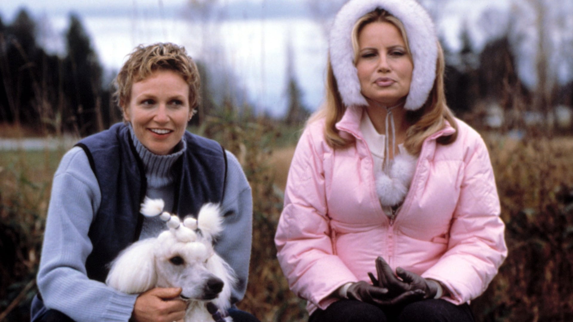 Foto do filme O Melhor do Show