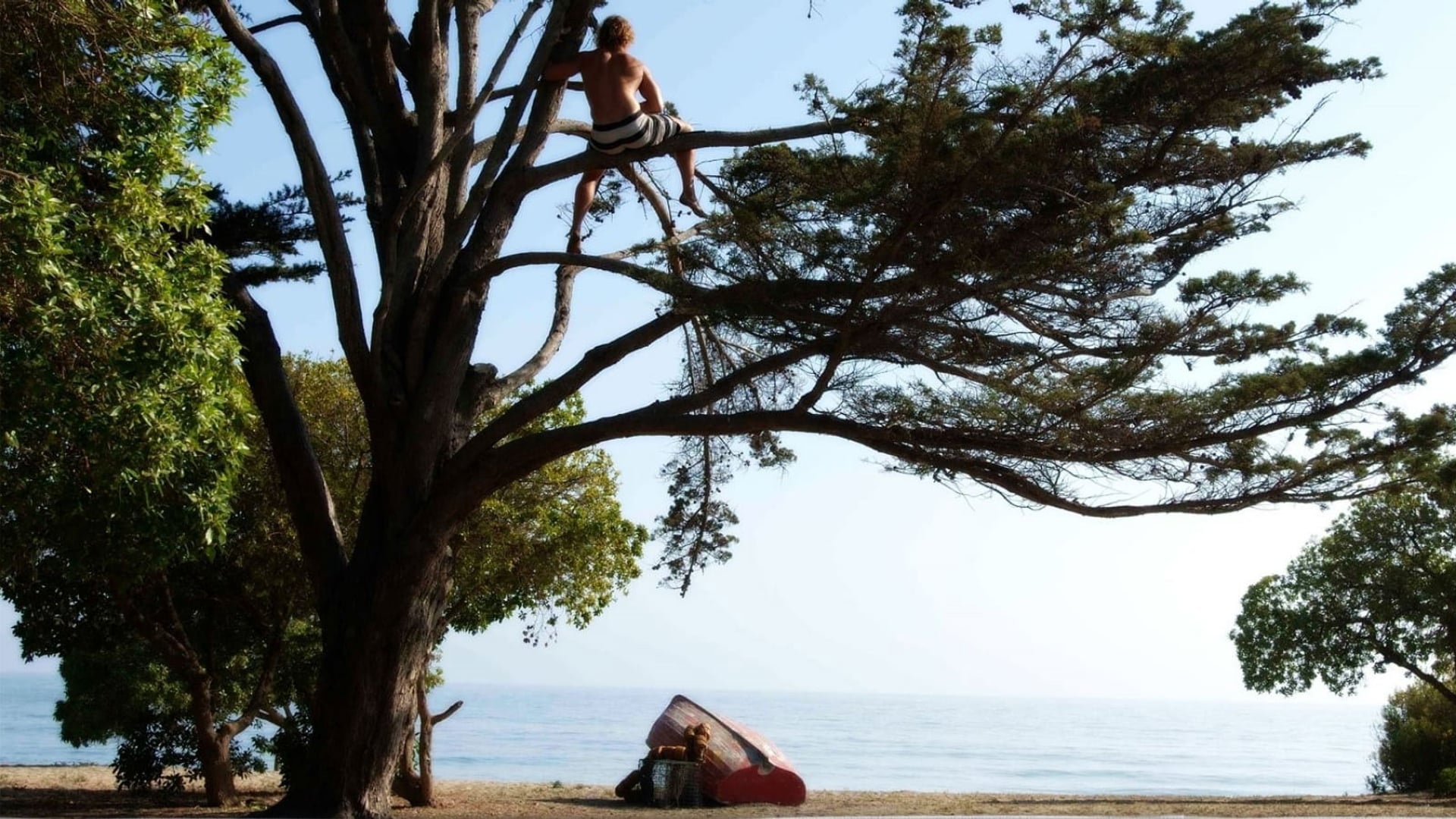 Foto do filme Profissão Surfista