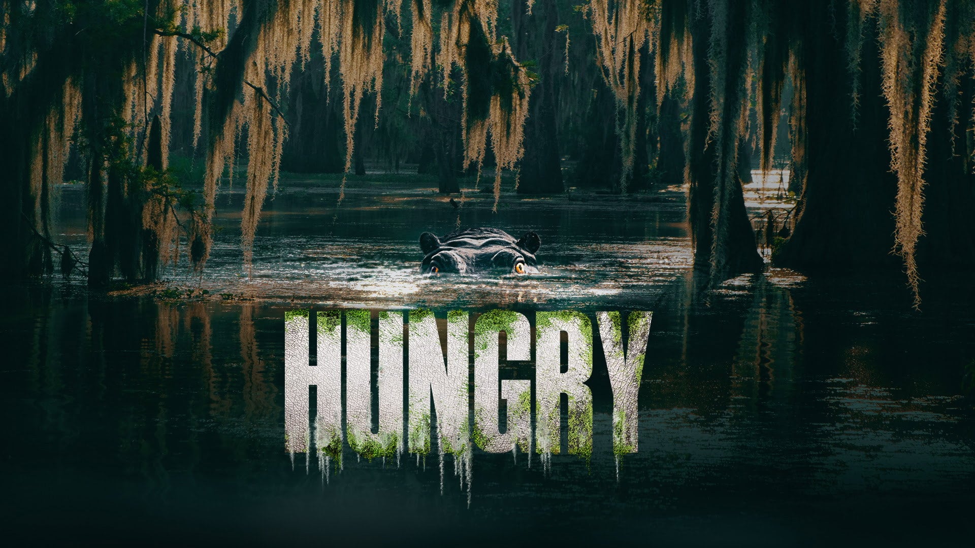 Foto do filme Hungry
