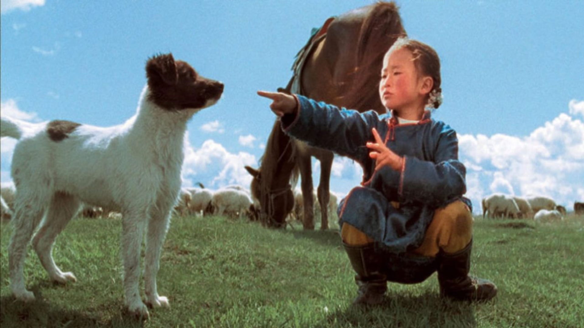 Foto do filme The Cave of the Yellow Dog