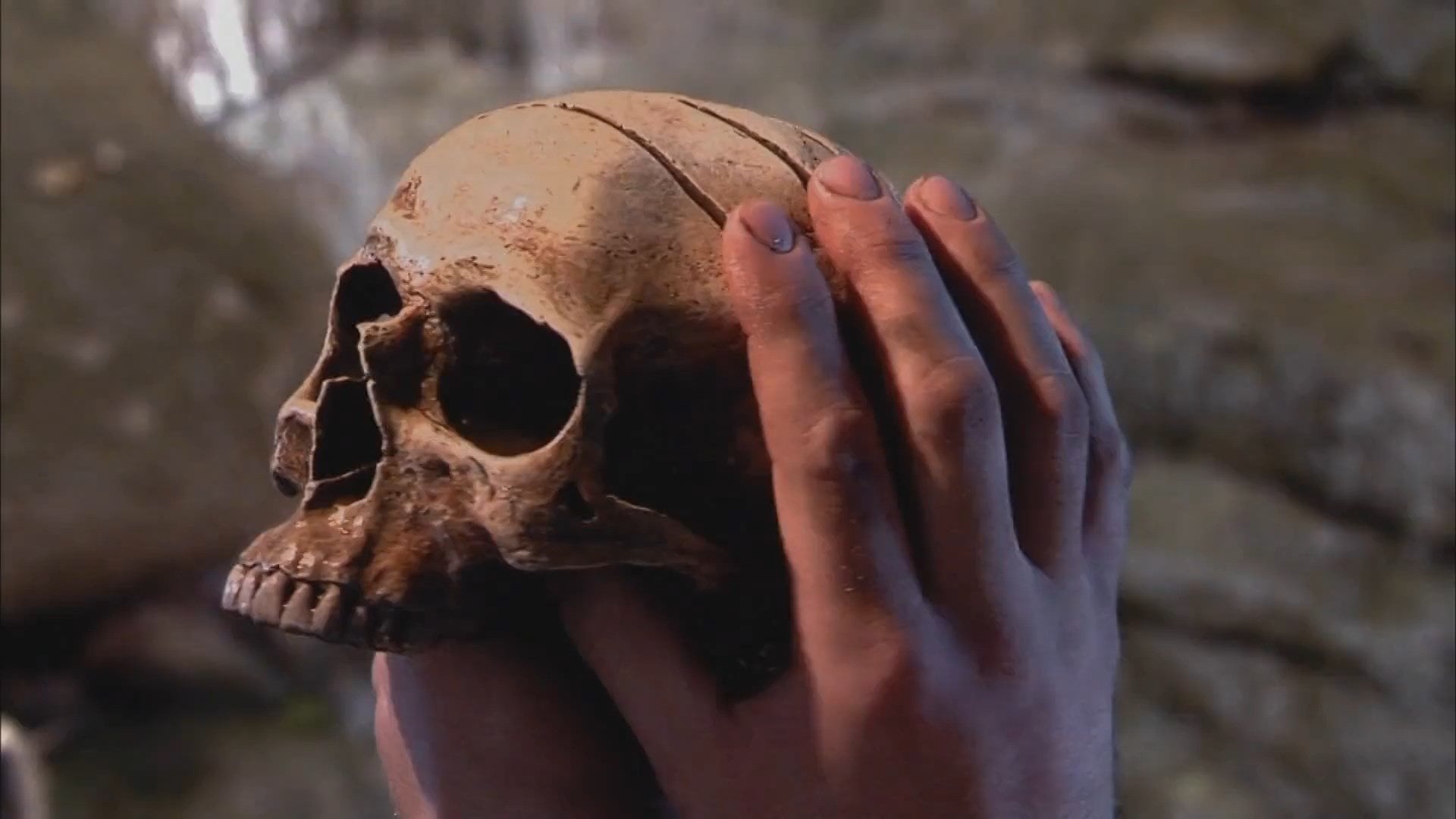 Foto do filme The Rage