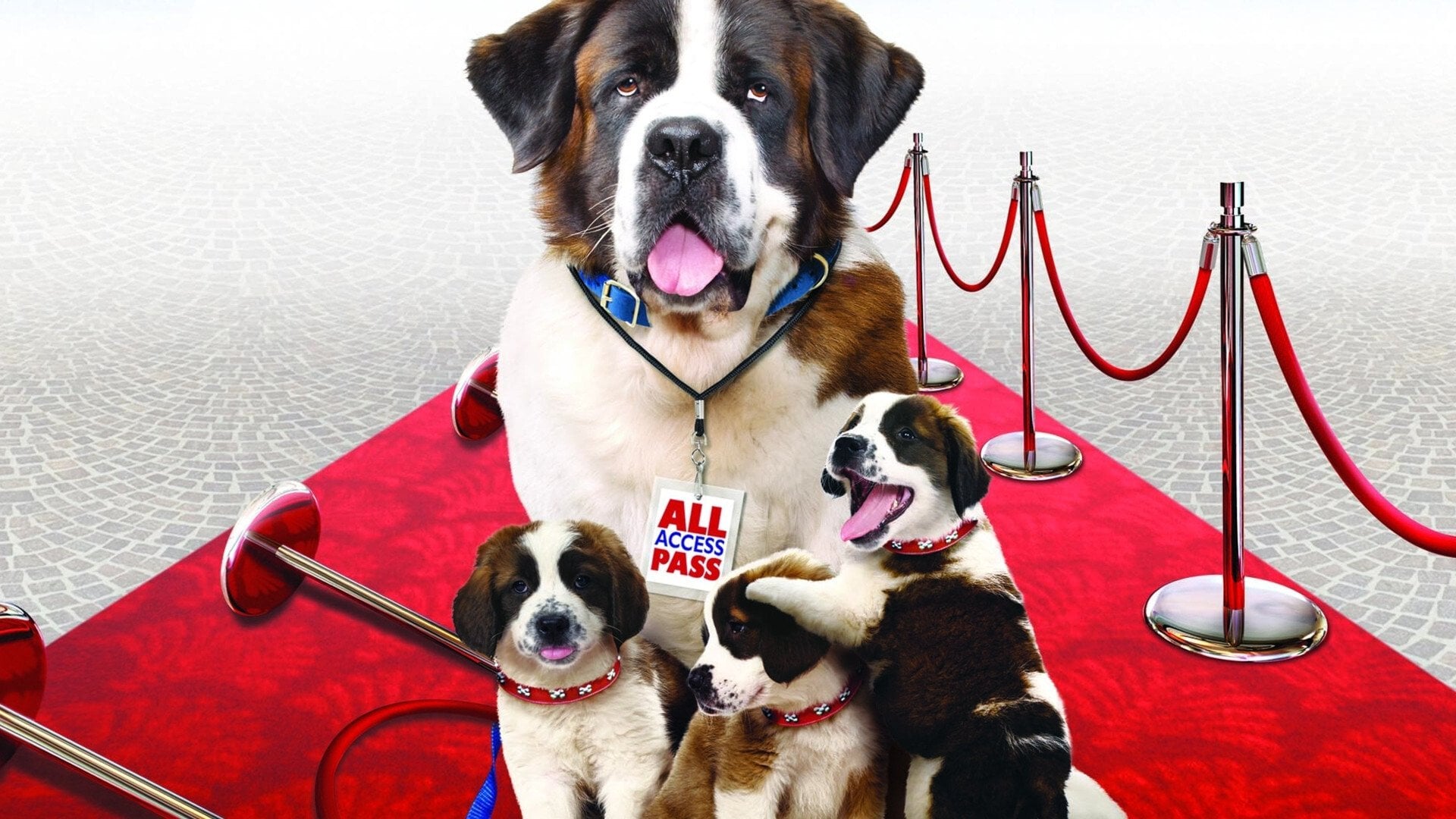 Foto do filme Beethoven: A Corrida Para a Fama