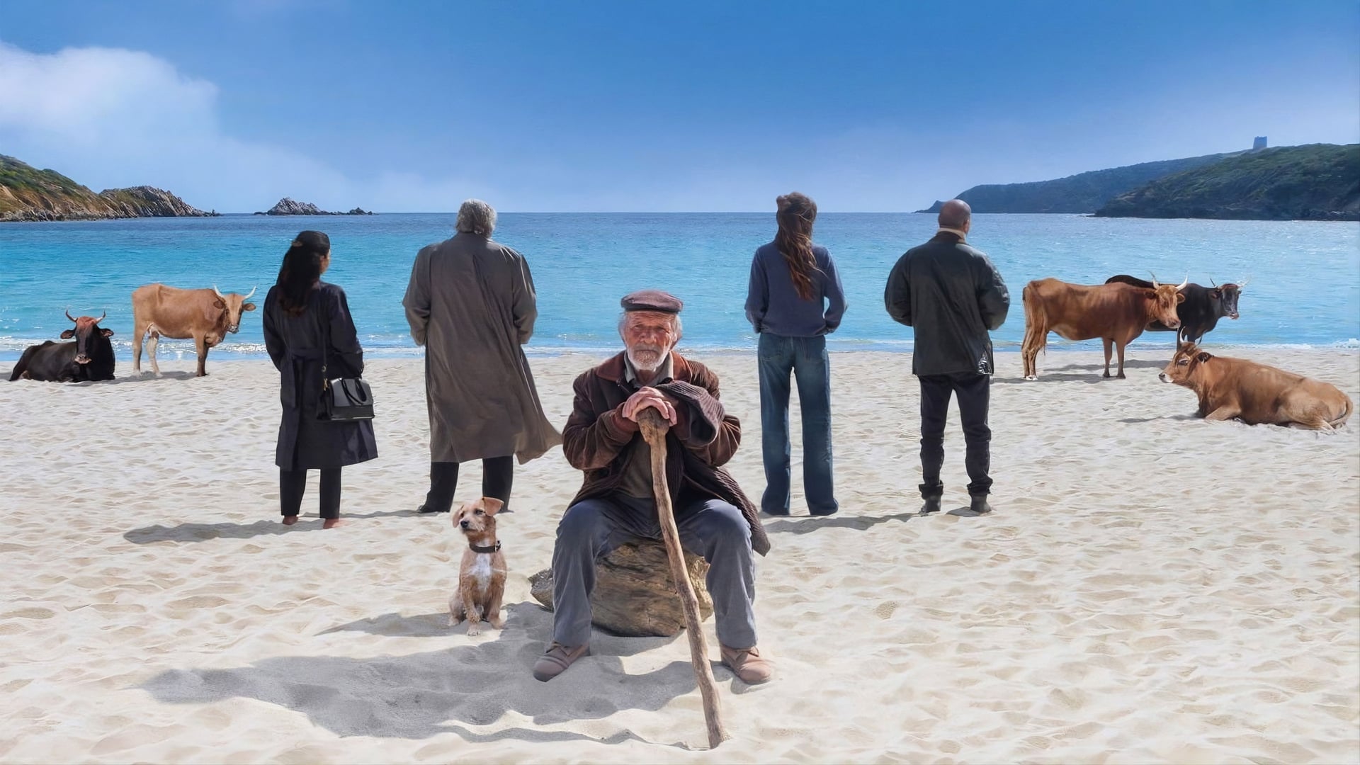 Foto do filme La vita va così