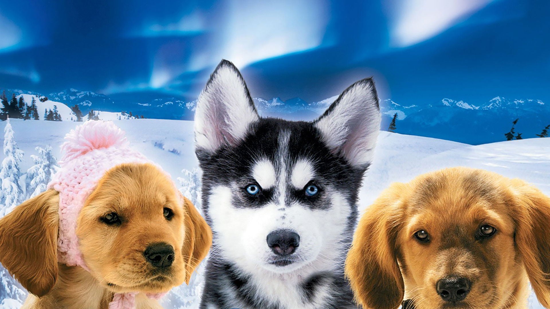 Foto do filme Snow Buddies: Uma Aventura no Gelo