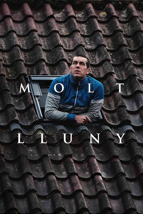 Molt lluny