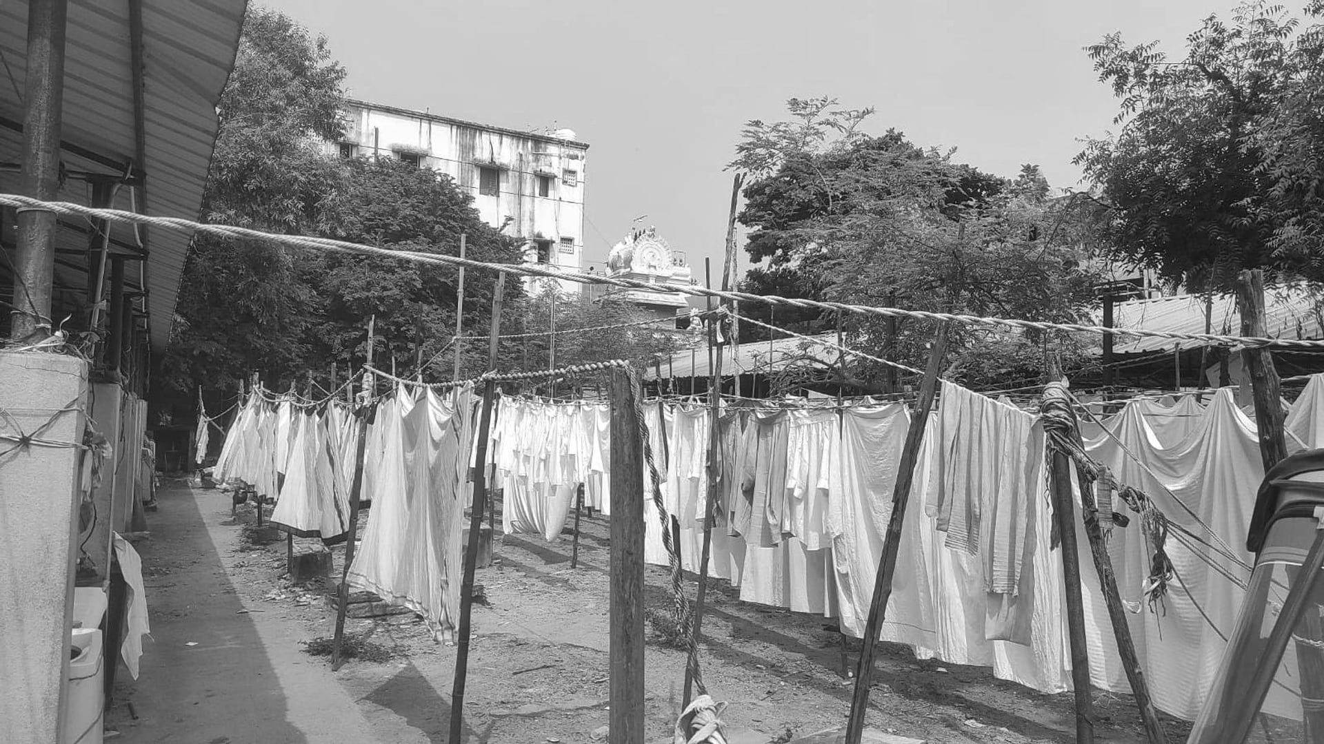 Foto do filme Echoes of washing hands