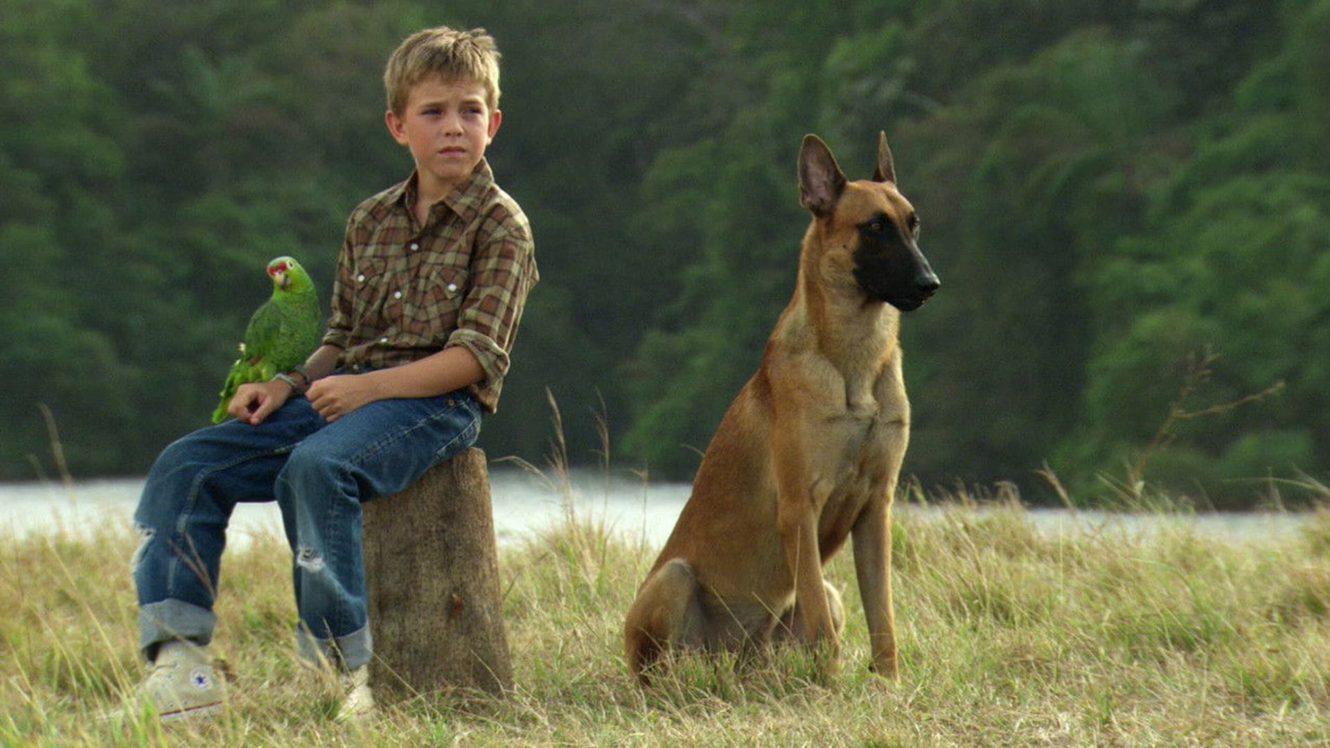 Foto do filme Terra Selvagem