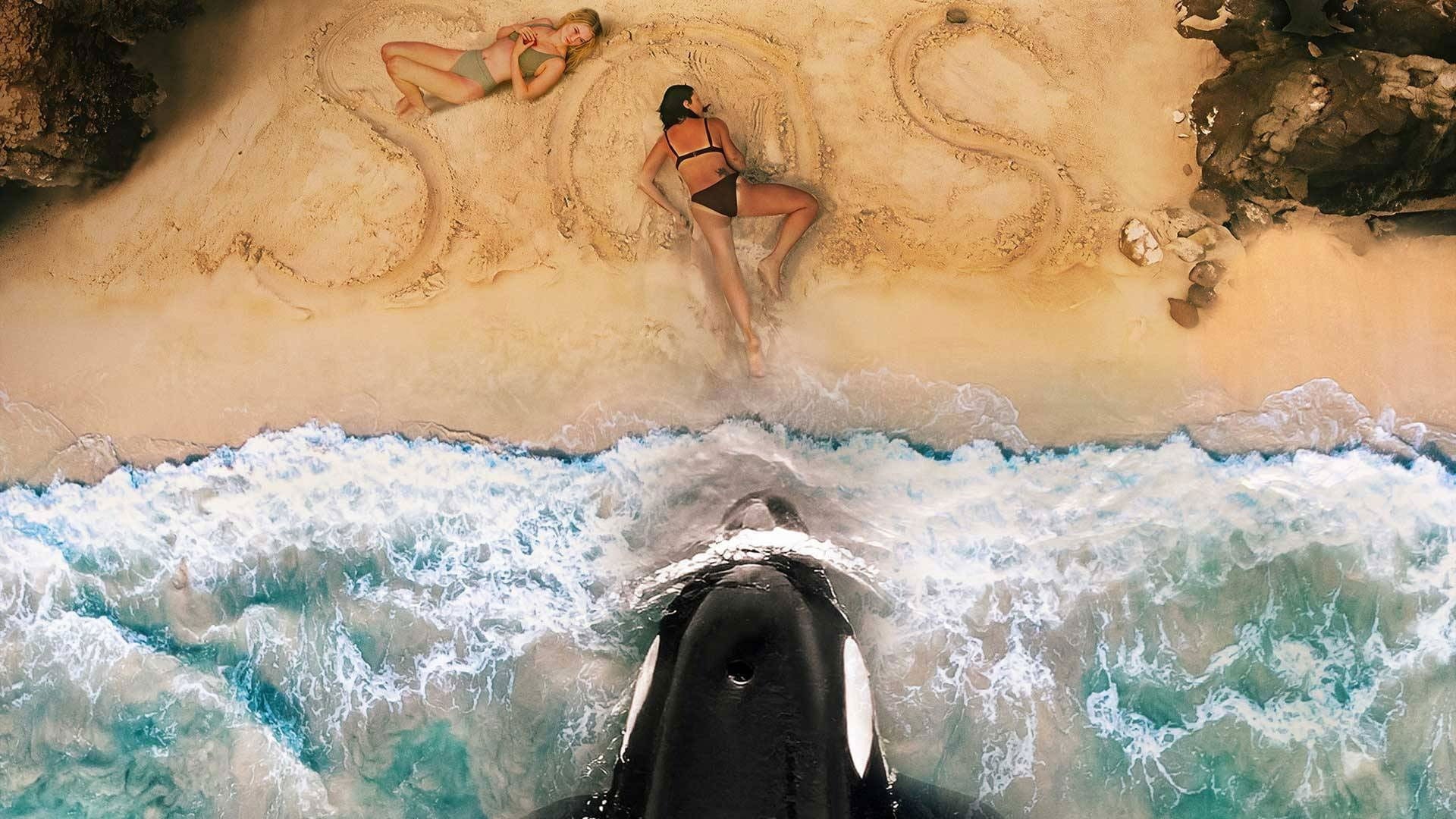 Foto do filme Orca: A Baleia Assassina
