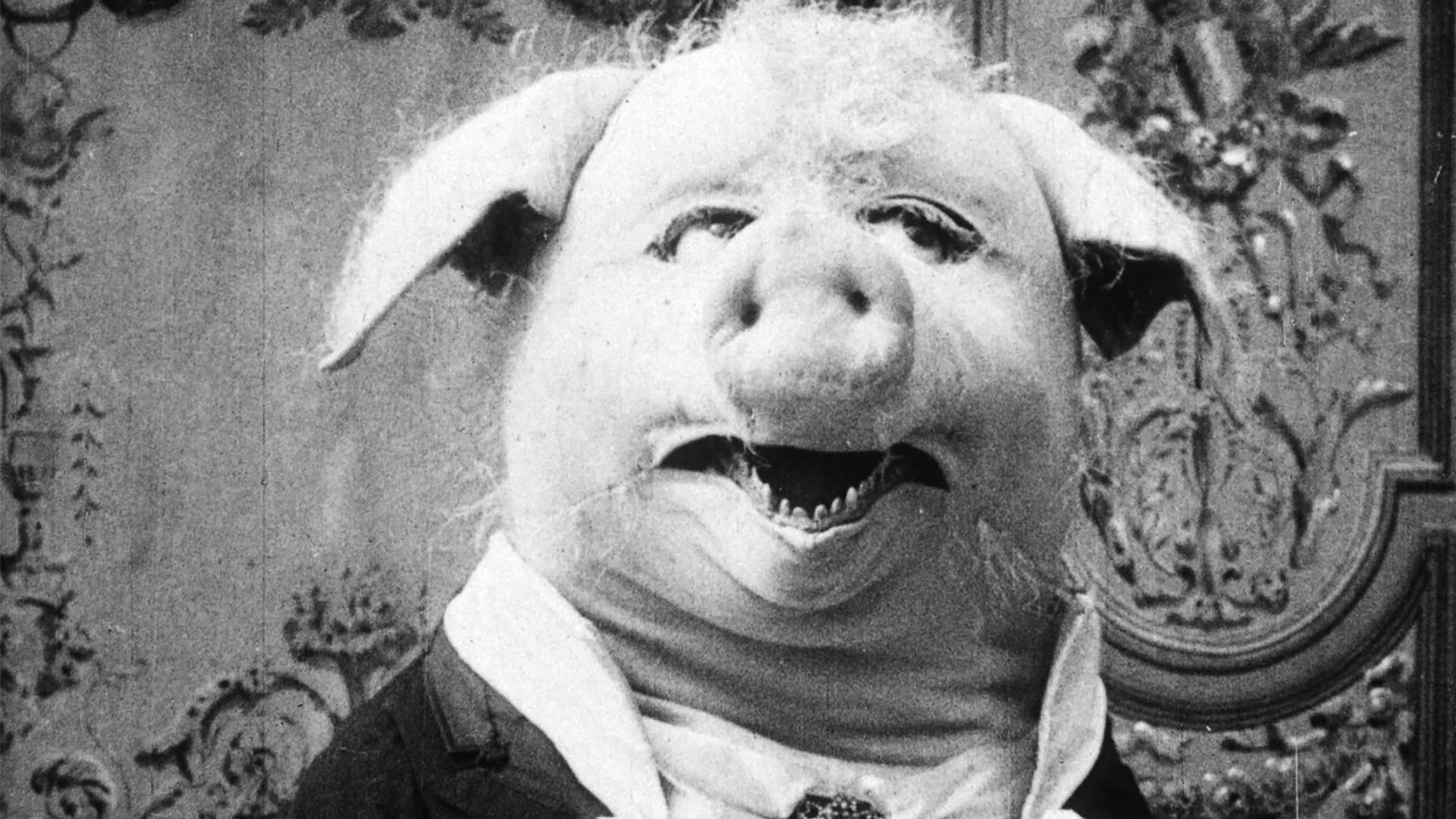 Foto do filme O Porco Dançante