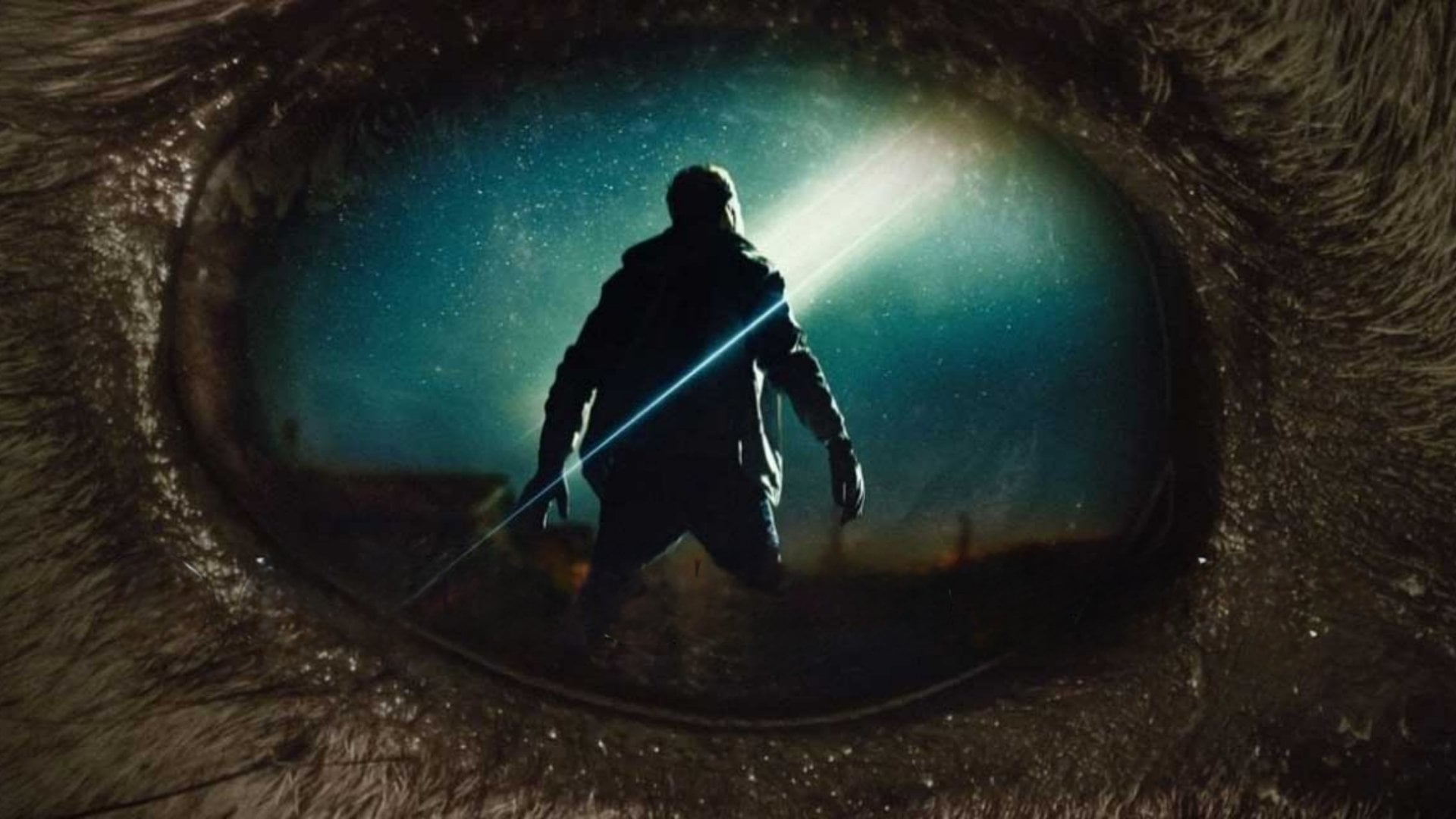 Foto do filme Descendent