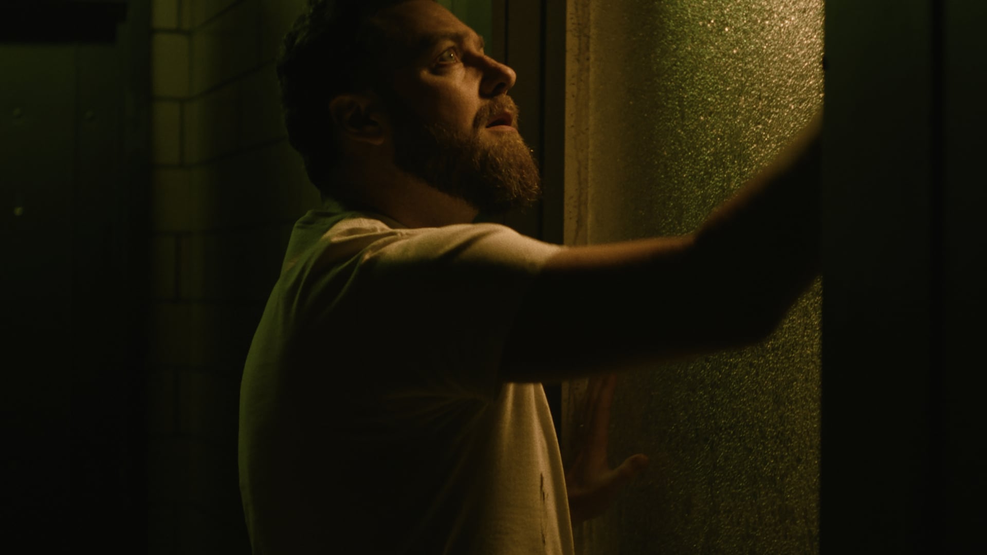 Foto do filme Descendent