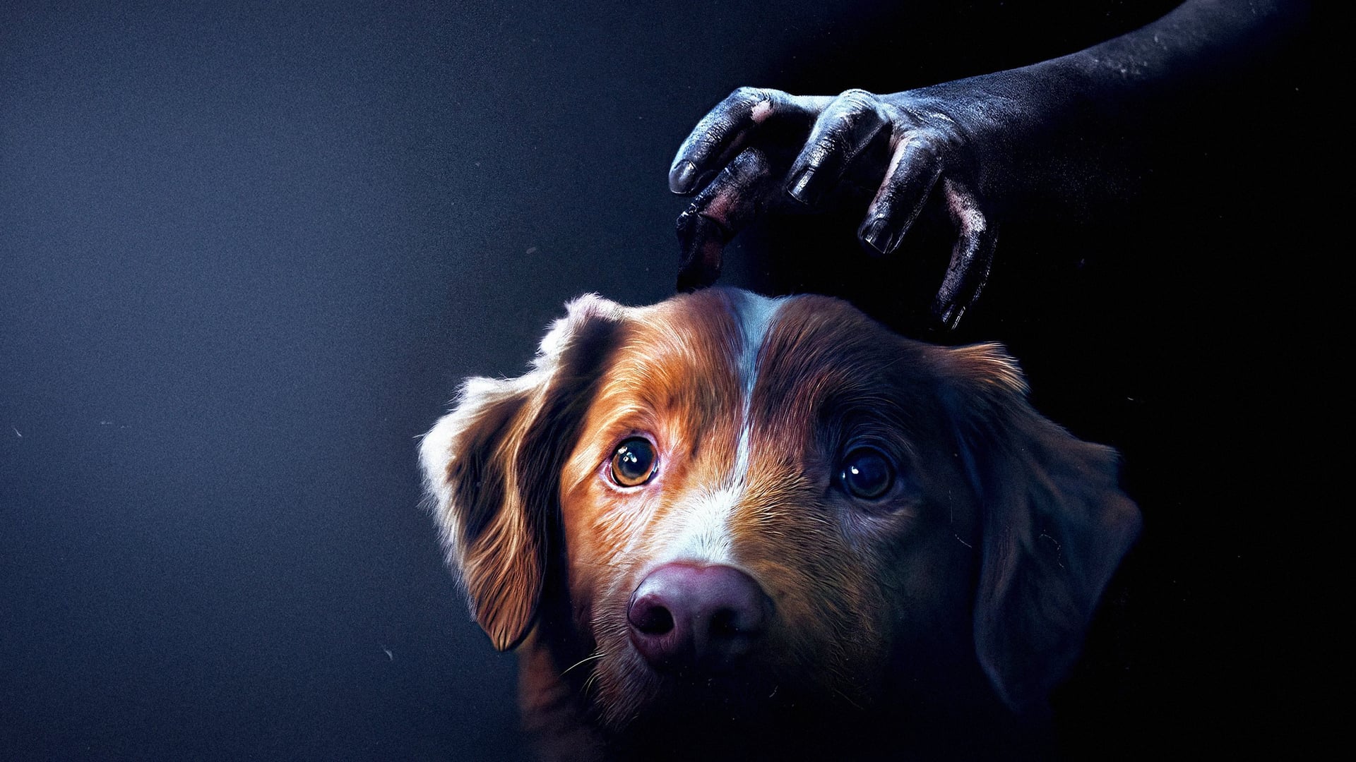 Foto do filme Bom Menino