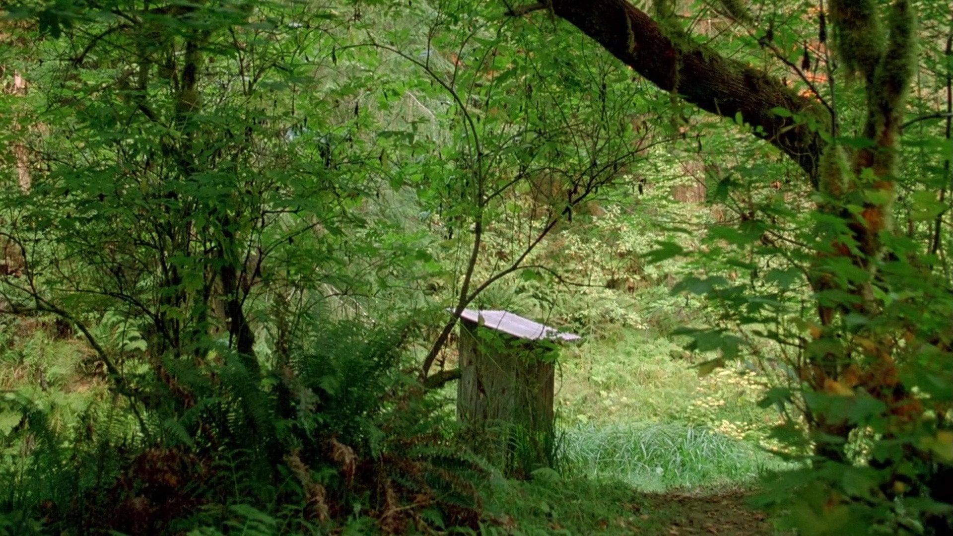 Foto do filme Humboldt County