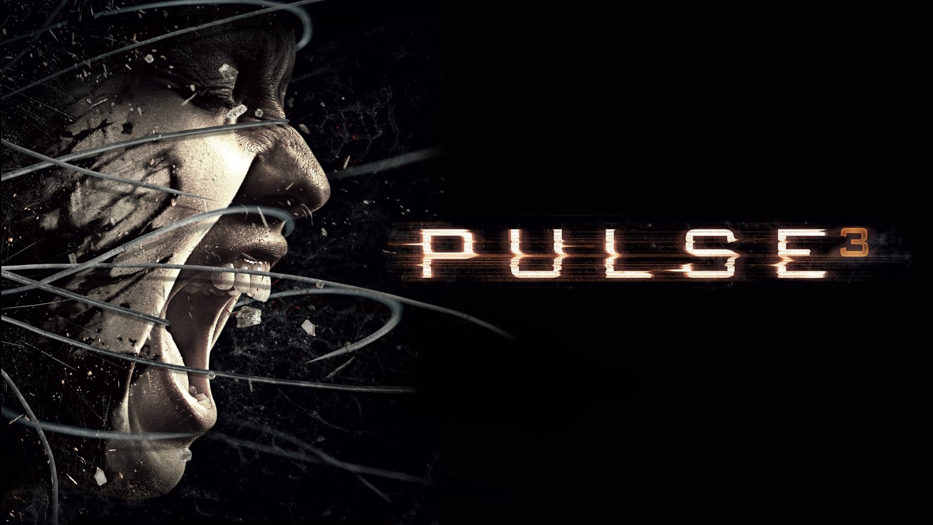Foto do filme Pulse 3