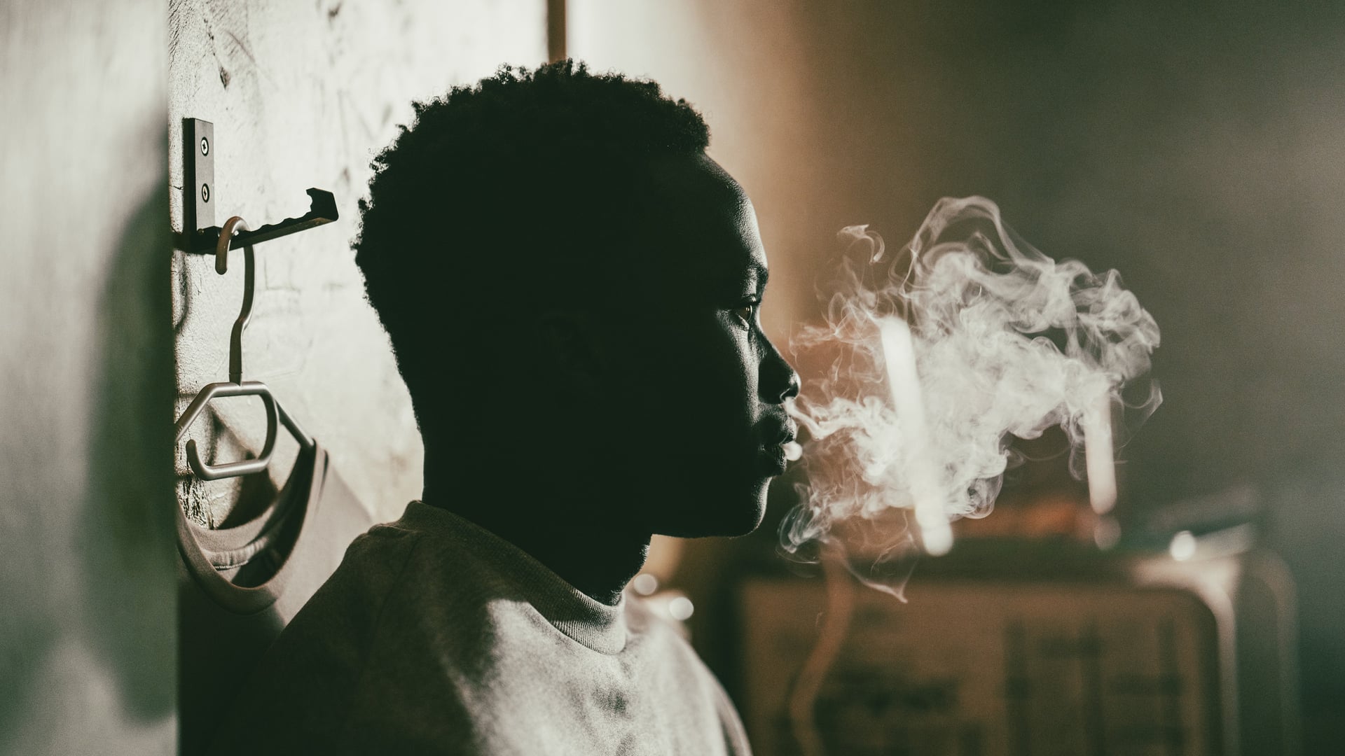 Foto do filme Animol