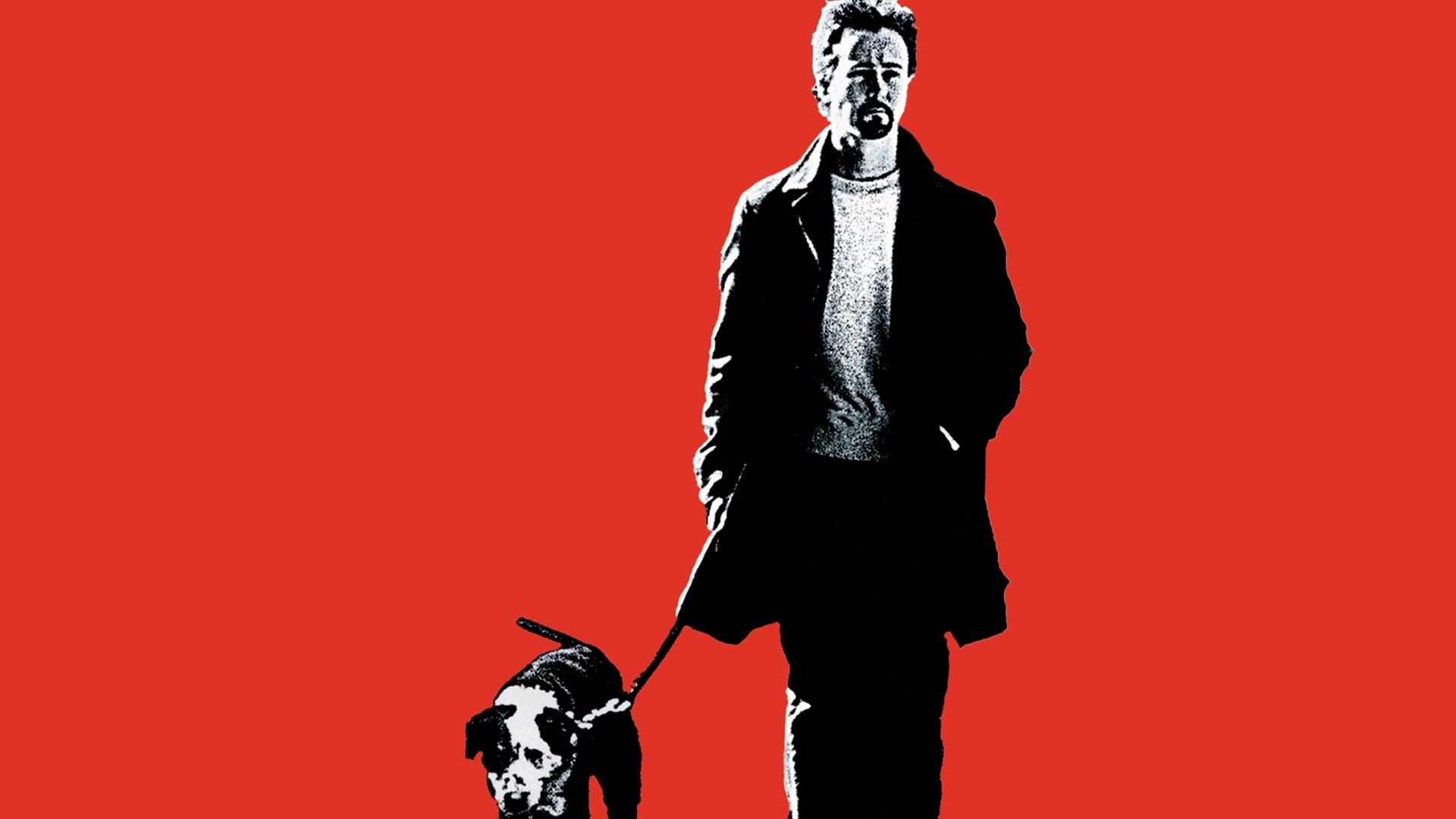 Foto do filme A Última Noite