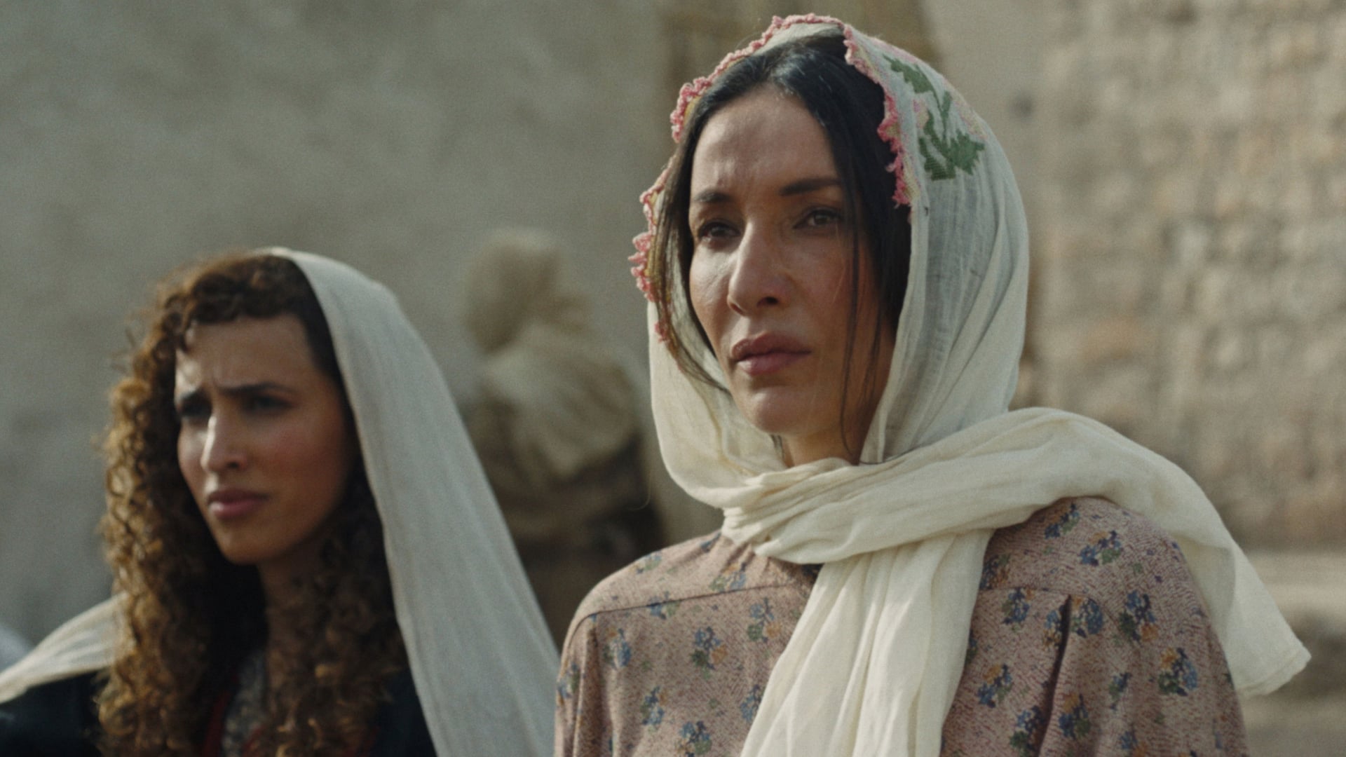 Foto do filme Palestina 36