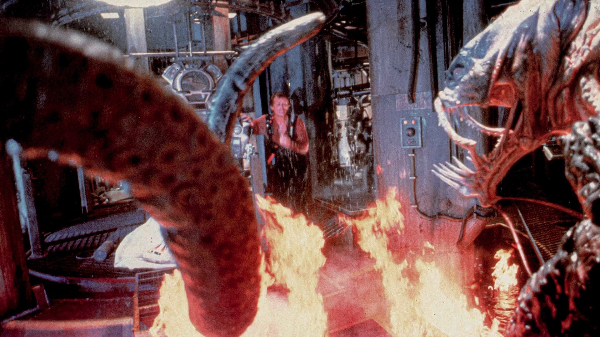 Foto do filme Leviathan