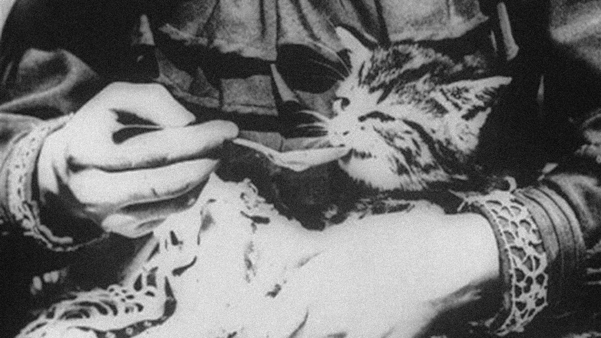 Foto do filme O Gatinho Doente