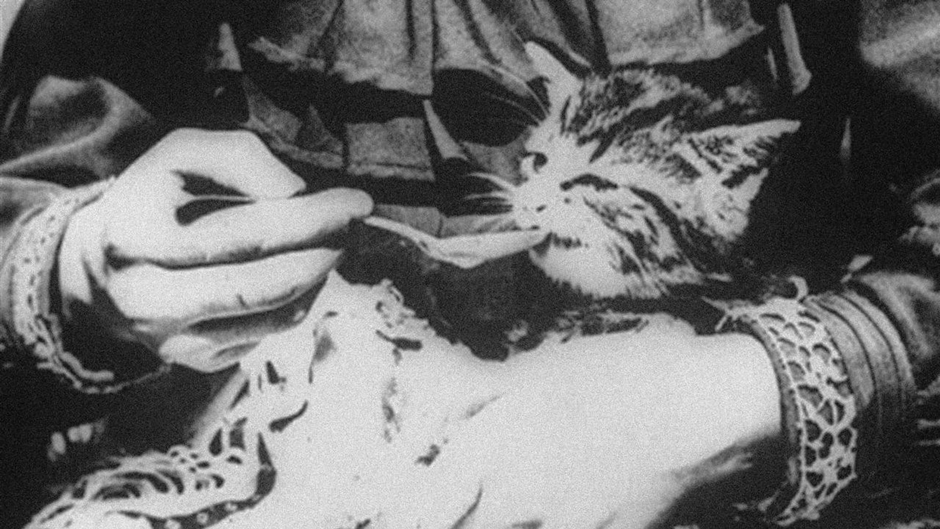 Foto do filme O Gatinho Doente