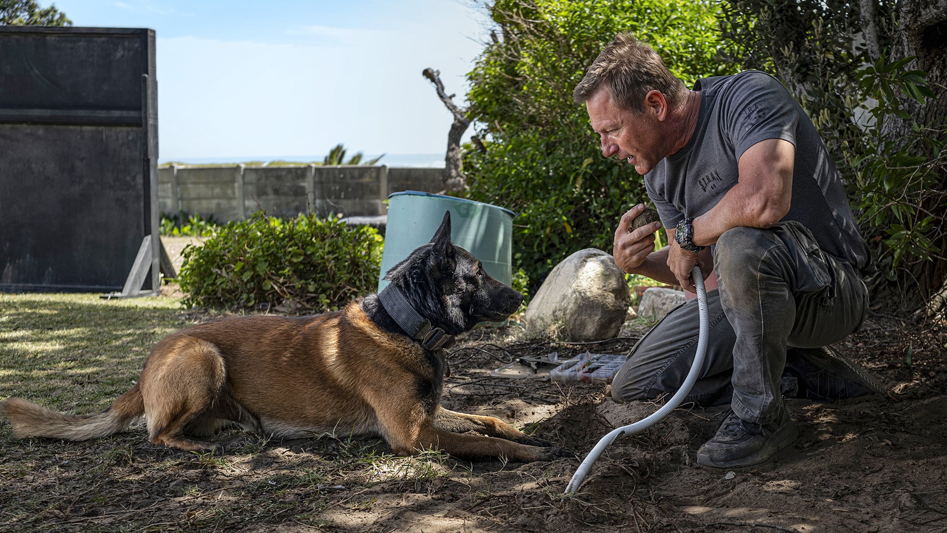 Foto do filme Farejando Vingança 2: Cidade dos Lobos