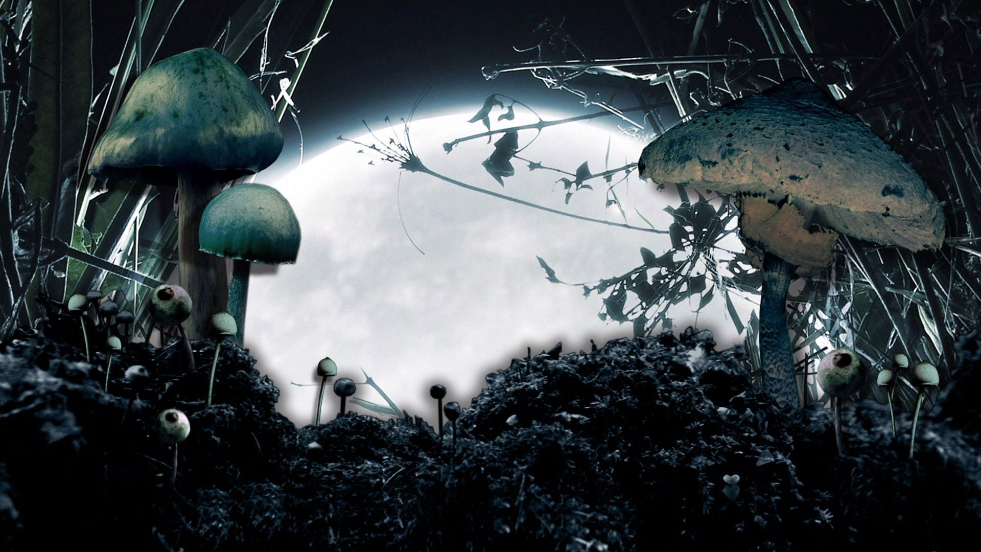 Foto do filme Alucinação