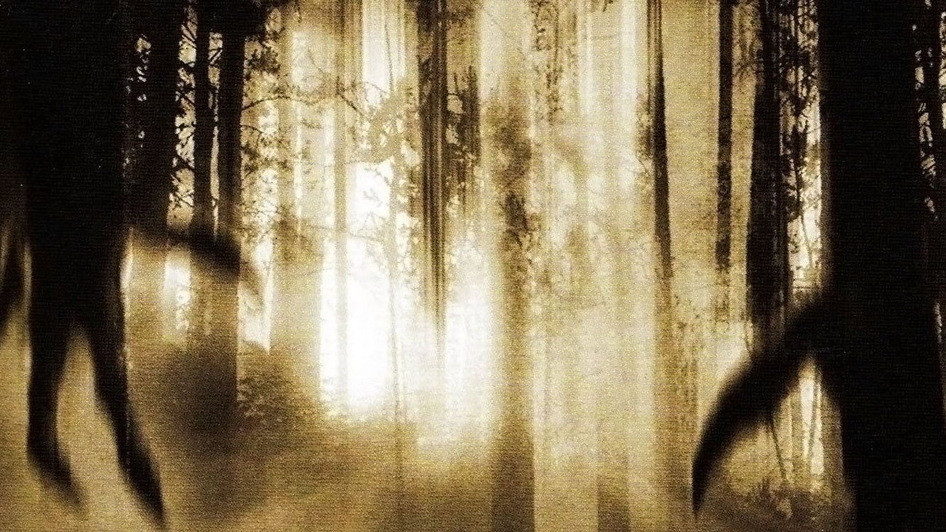 Foto do filme Aterrorizados