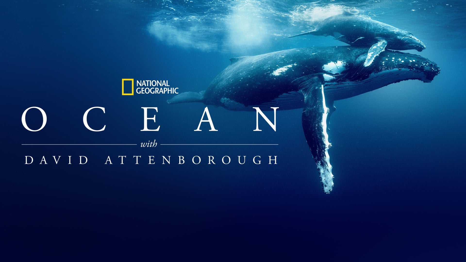 Foto do filme Oceanos com David Attenborough