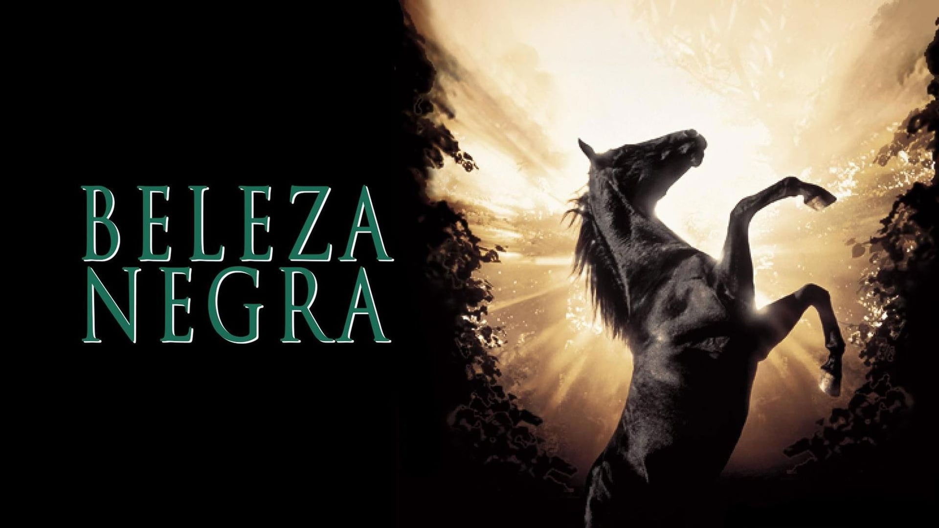 Foto do filme Beleza Negra