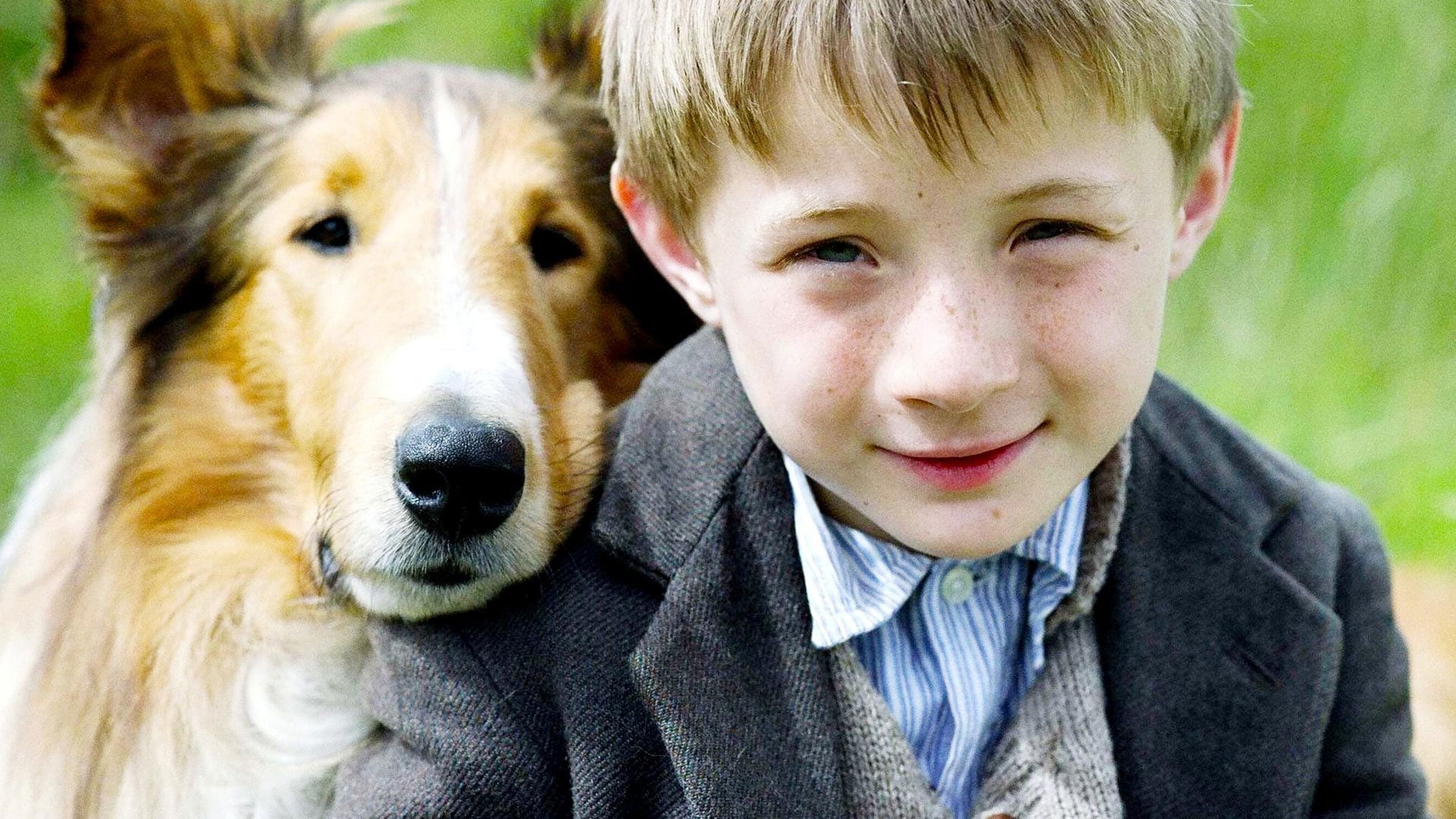 Foto do filme Lassie