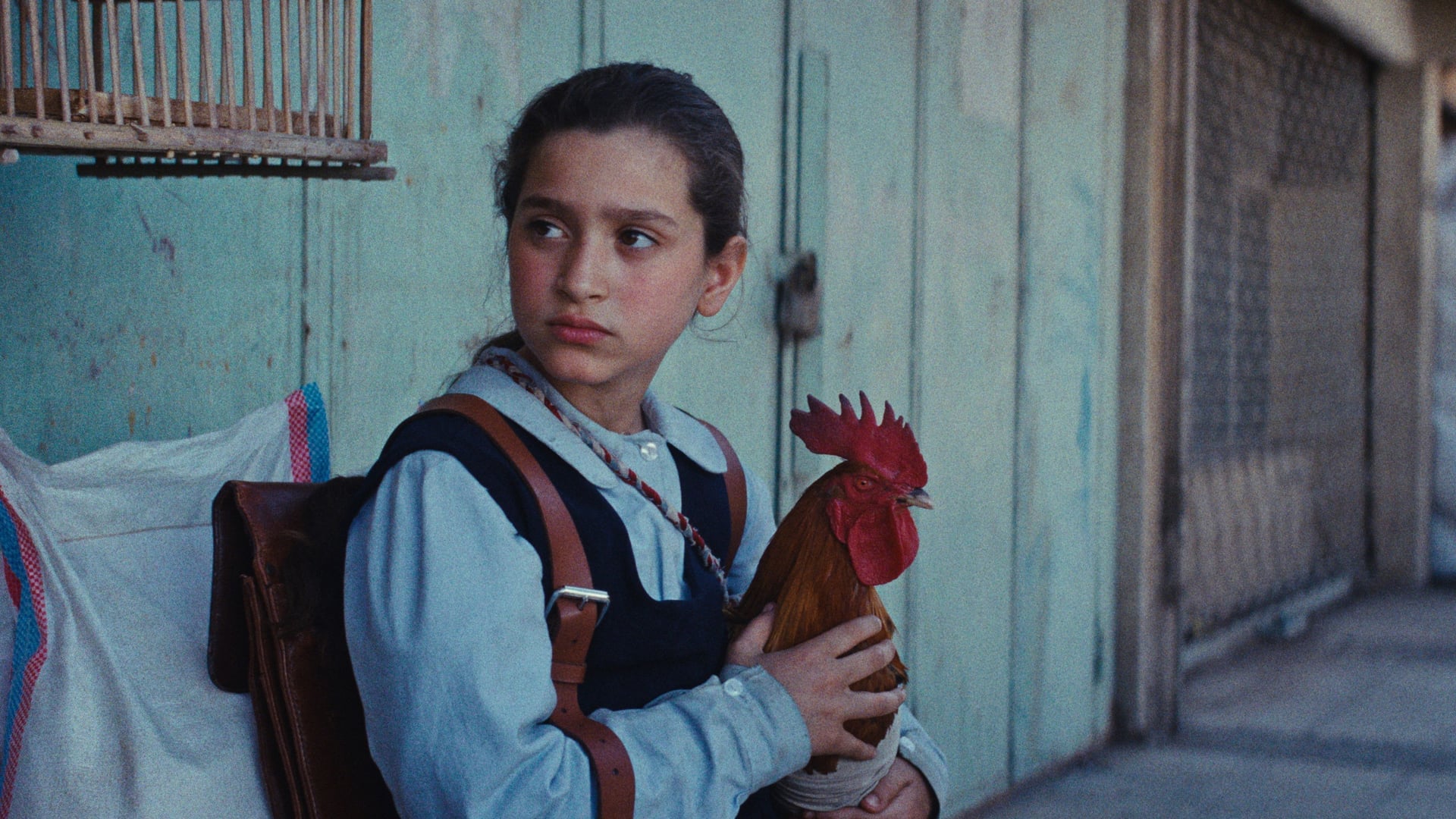 Foto do filme The President's Cake